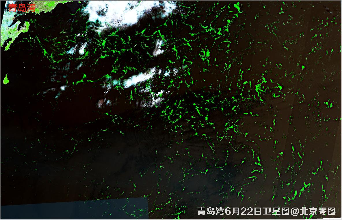 青岛湾6月份水质卫星图