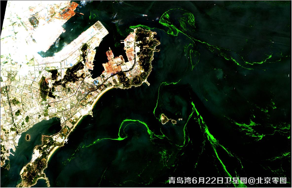青岛湾6月份水质卫星图