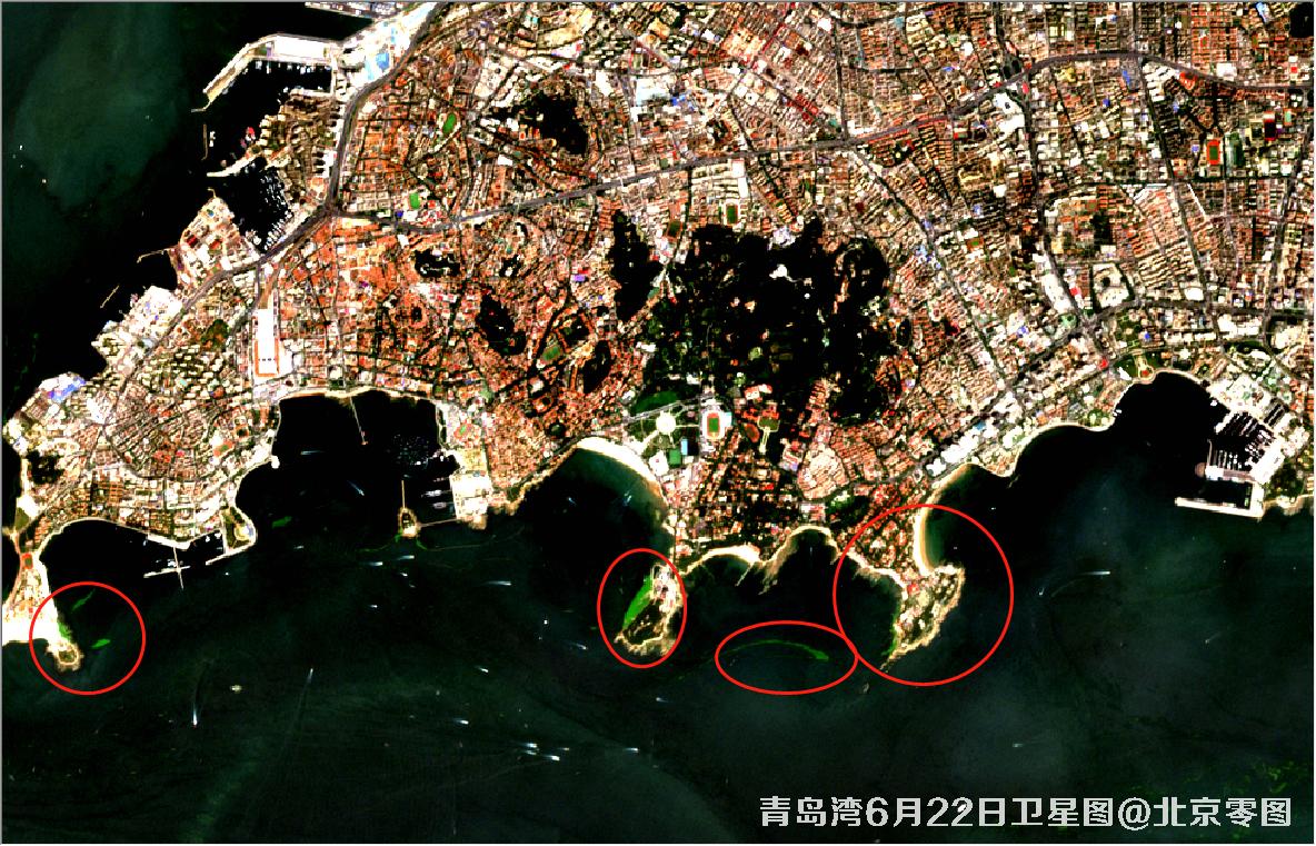 青岛湾6月份水质卫星图