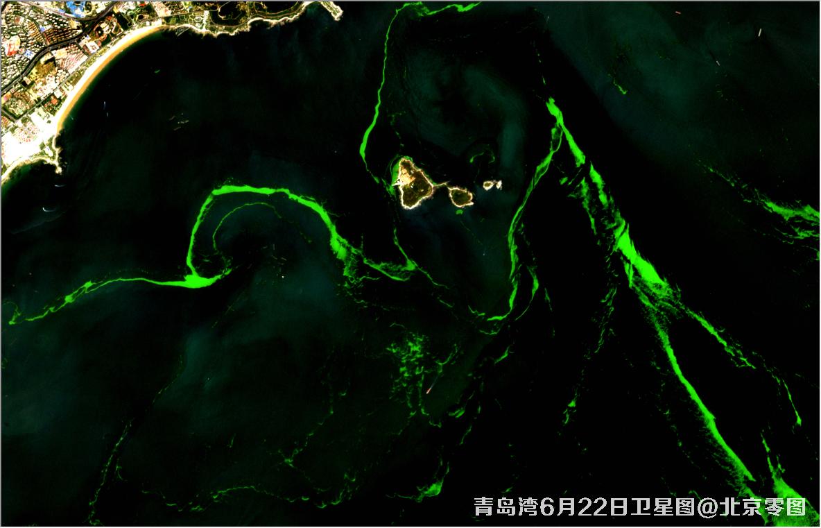 青岛湾6月份水质卫星图