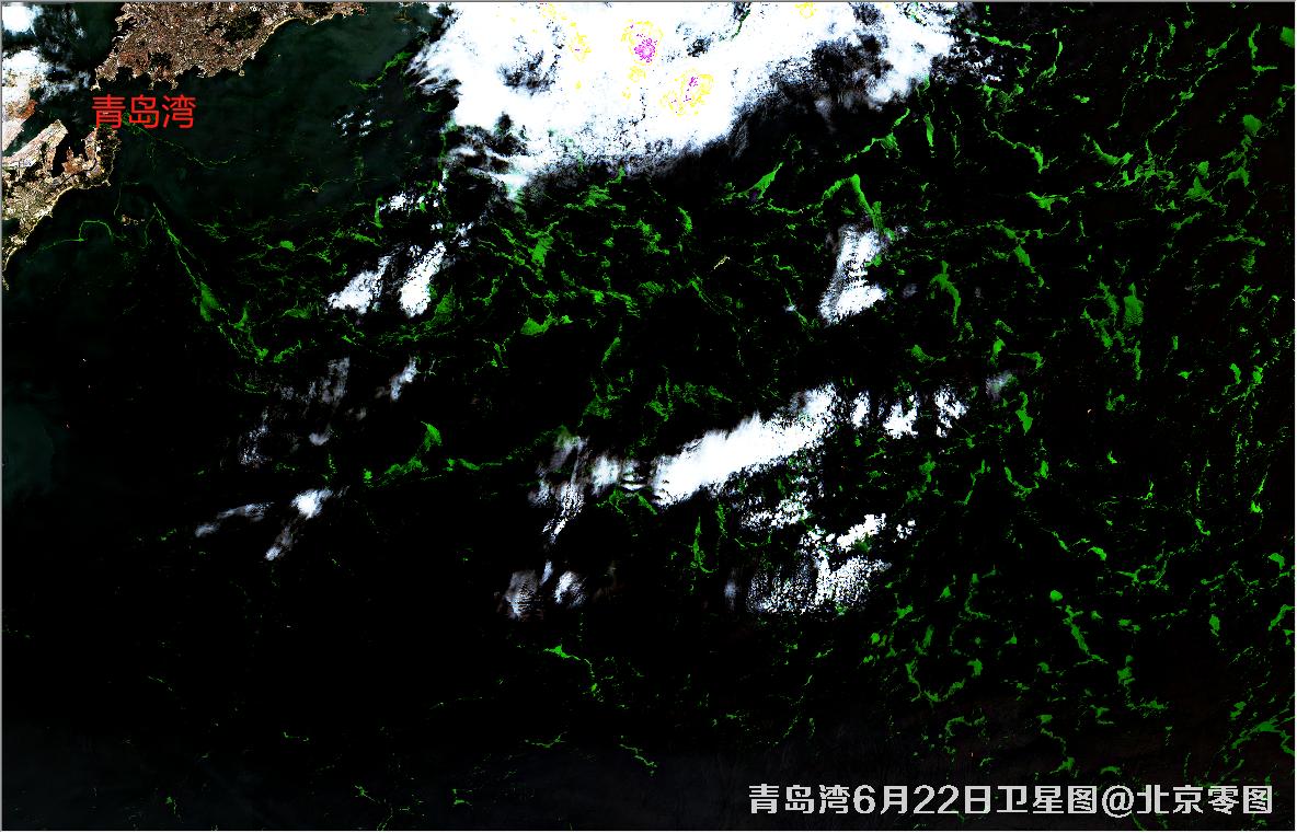 青岛湾6月份水质卫星图