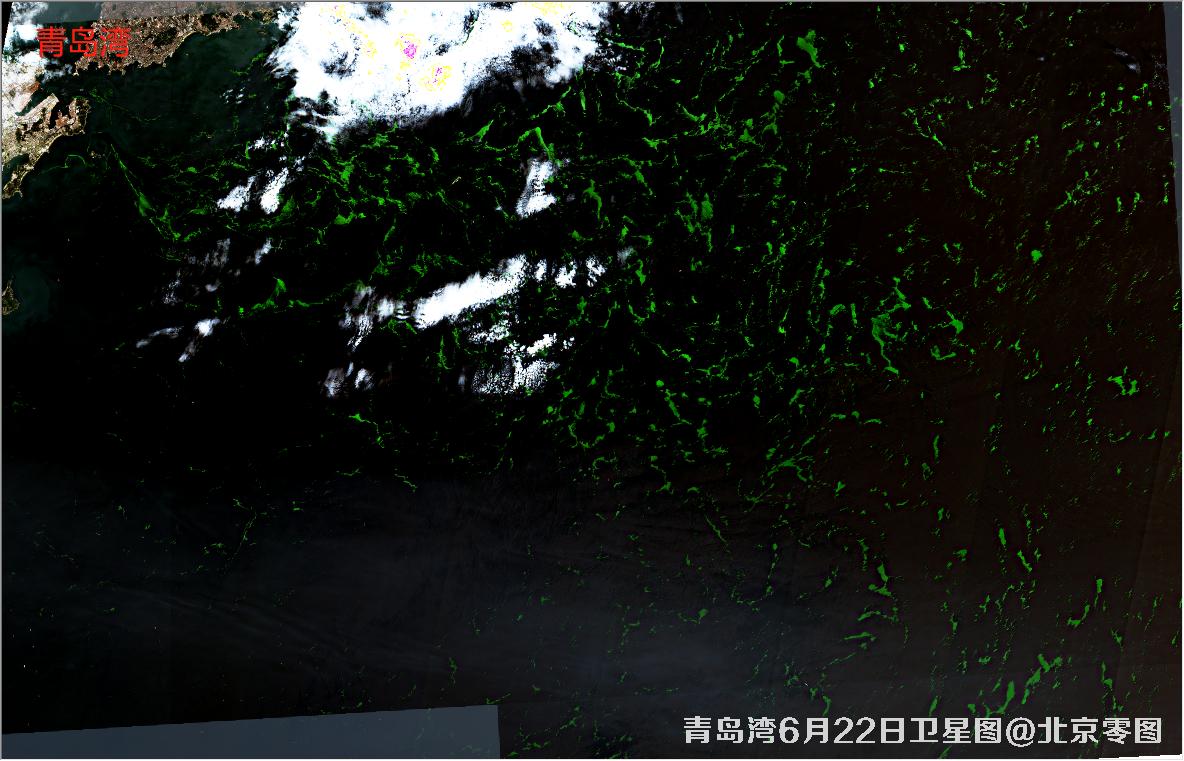 青岛湾6月份水质卫星图