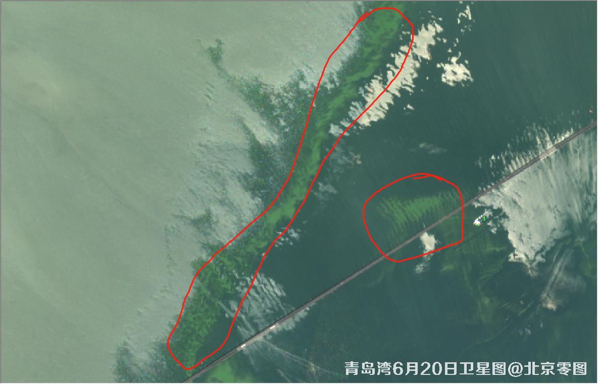 青岛湾6月份水质卫星图