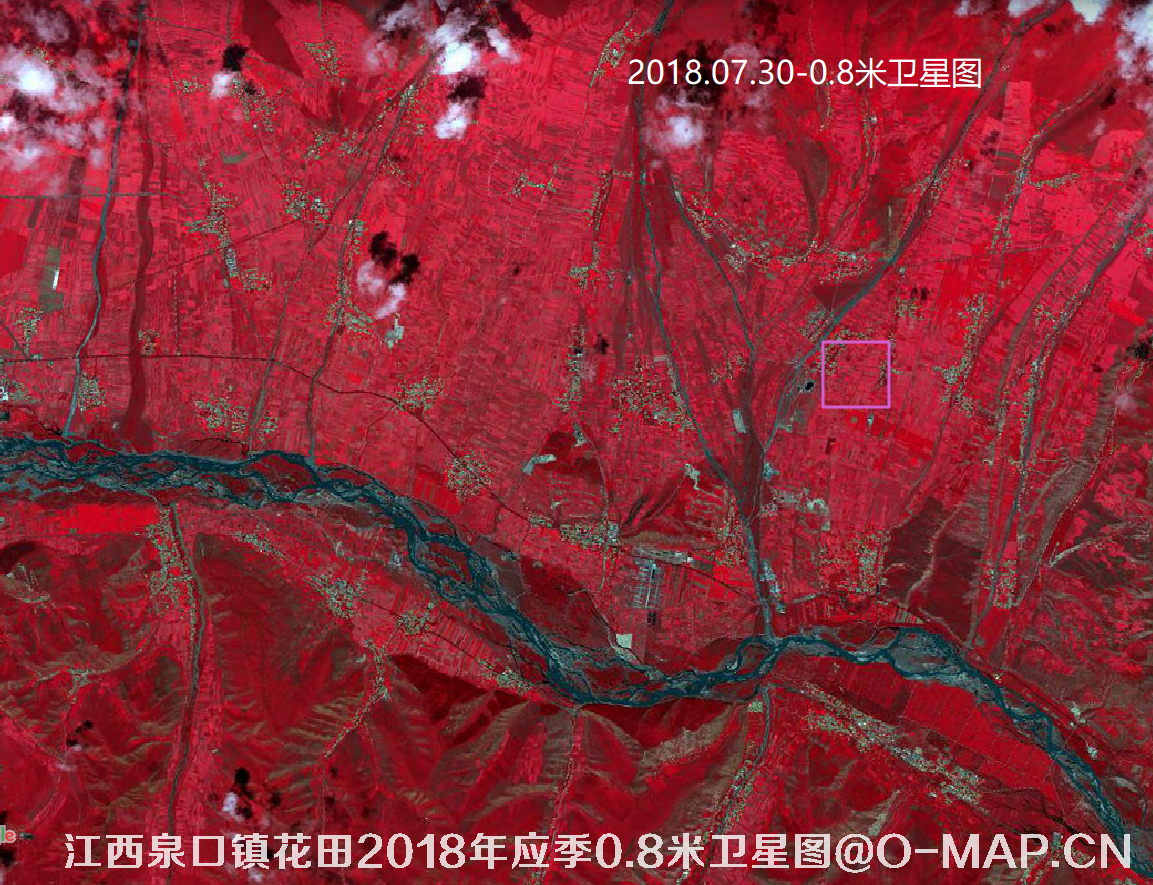 江西省泉口镇花田2018年花期0.8米高分二号卫星图