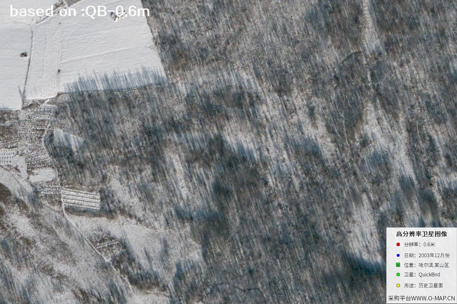 QuickBird Satellite Imagery of Harbin, Heilongjiang, Winter 2003 - 30