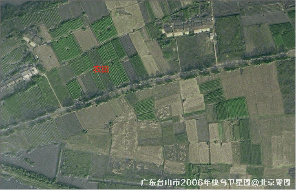 广东台山市2006年快鸟卫星图
