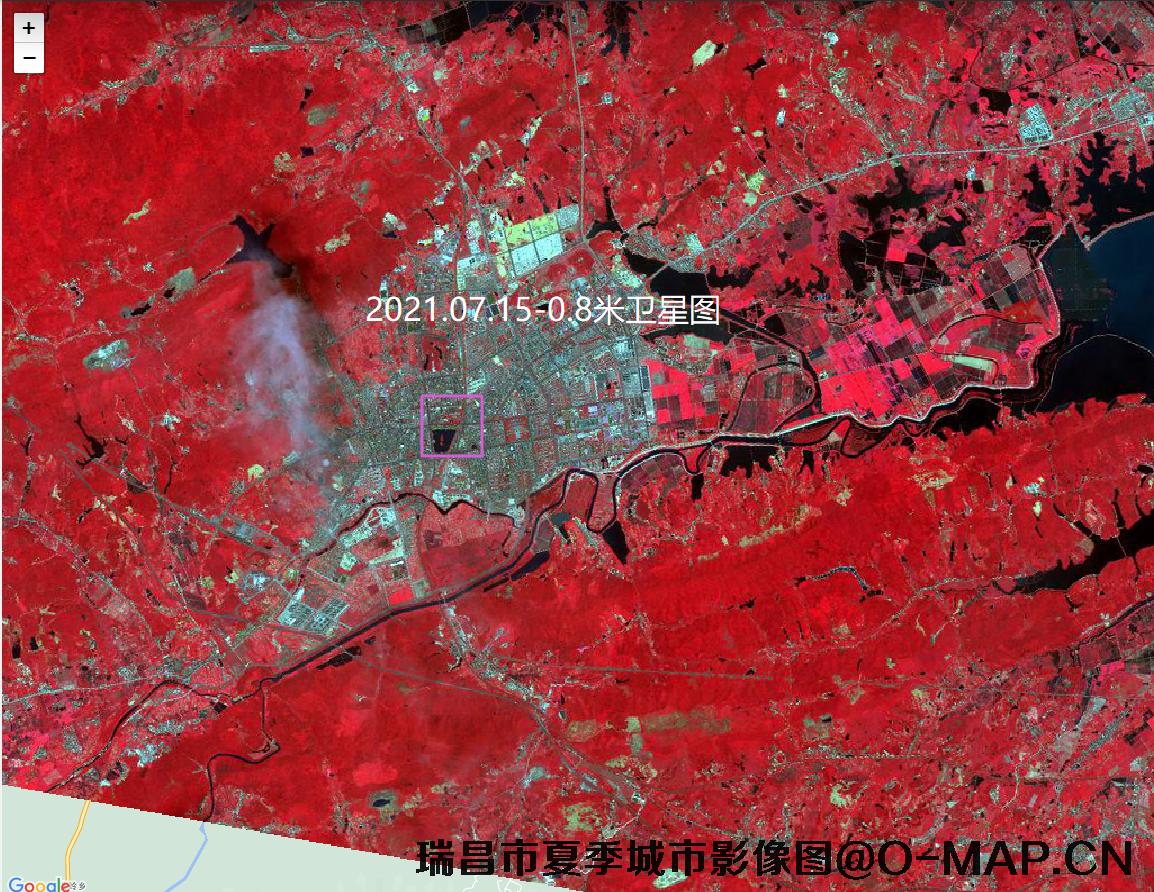 江西省瑞昌市夏季卫星图-用于园林城市申报