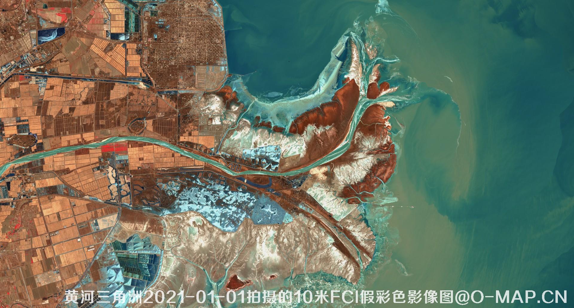 黄河三角洲2021年各月份的10米FCI假彩色影像图