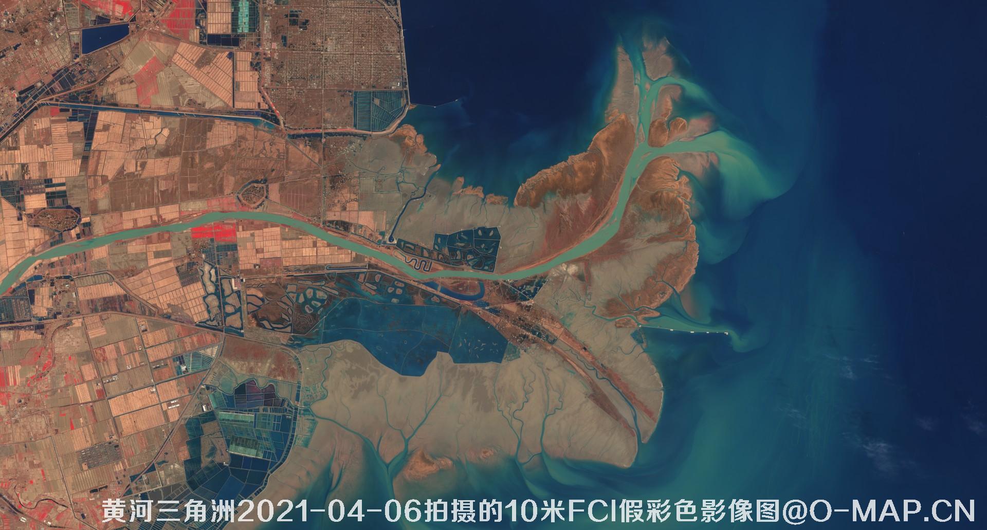 黄河三角洲2021年各月份的10米FCI假彩色影像图