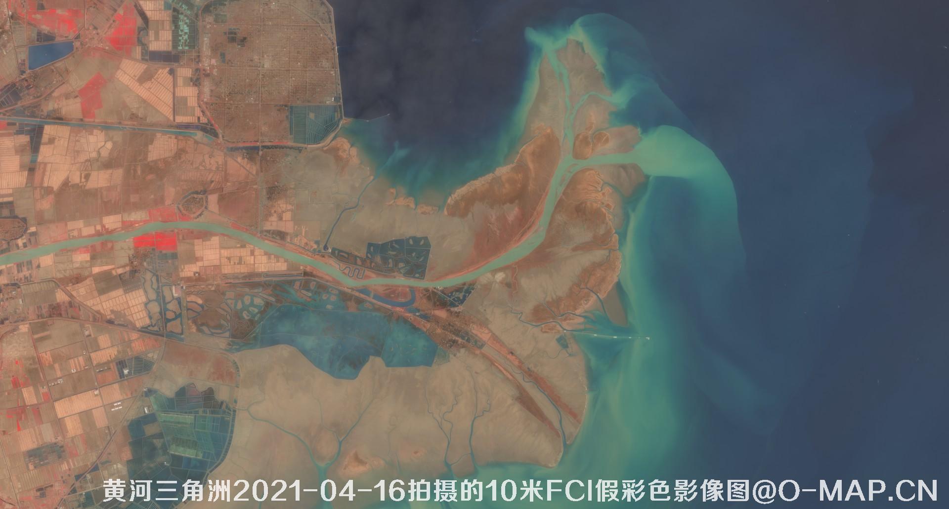 黄河三角洲2021年各月份的10米FCI假彩色影像图