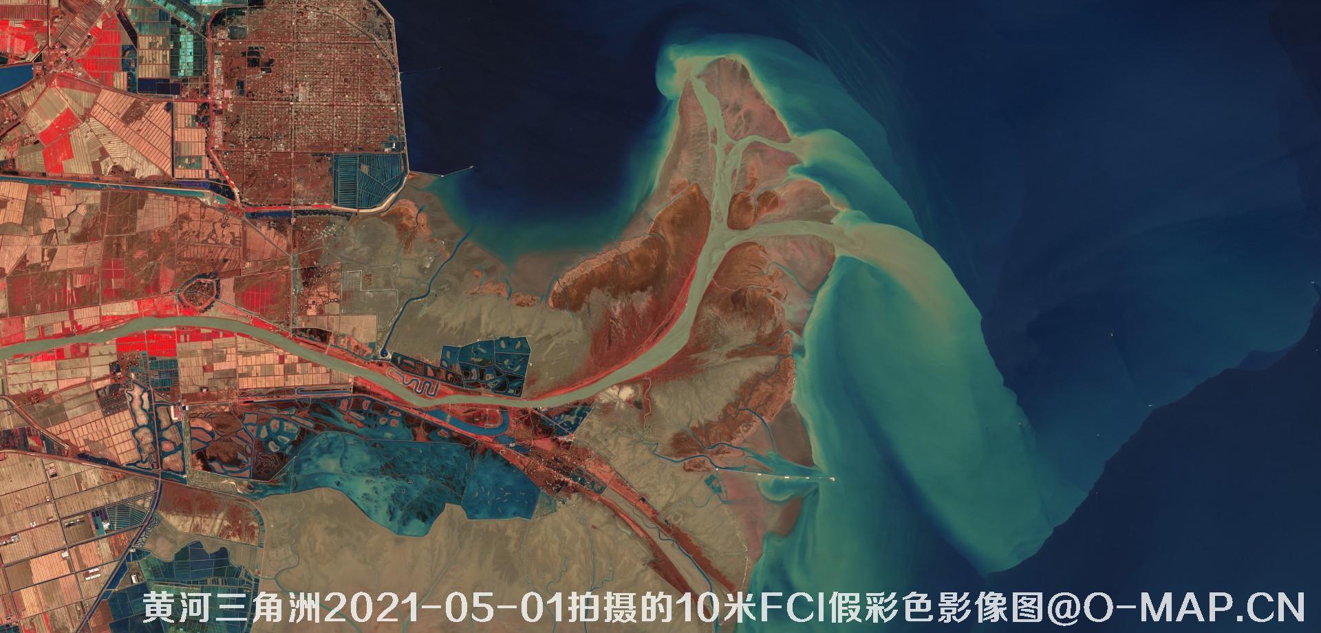 黄河三角洲2021年各月份的10米FCI假彩色影像图
