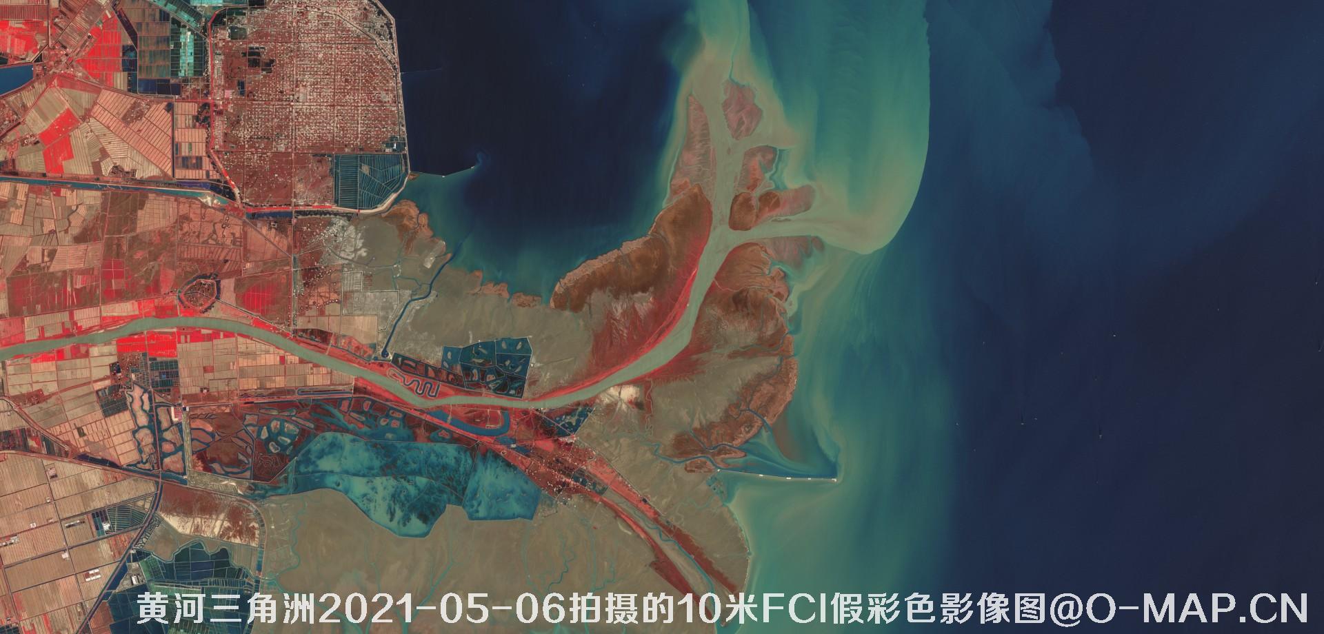 黄河三角洲2021年各月份的10米FCI假彩色影像图