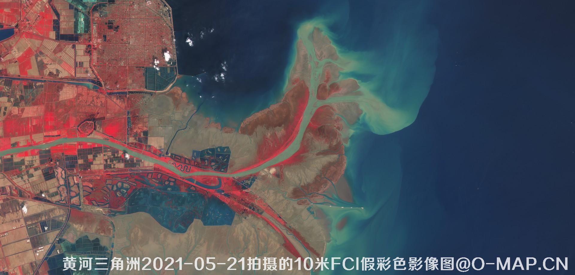 黄河三角洲2021年各月份的10米FCI假彩色影像图