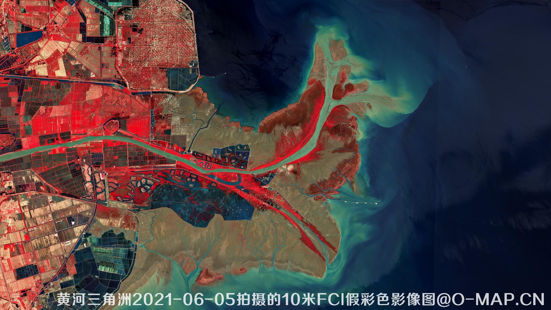 黄河三角洲2021年各月份的10米FCI假彩色影像图