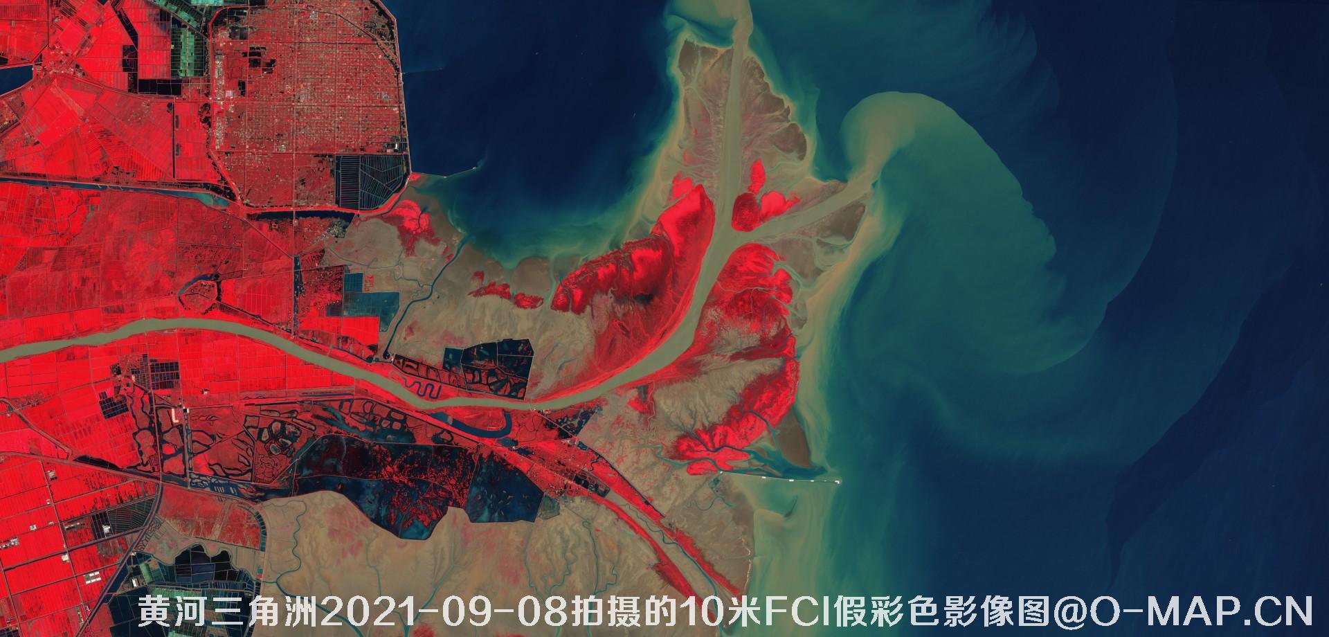 黄河三角洲2021年各月份的10米FCI假彩色影像图