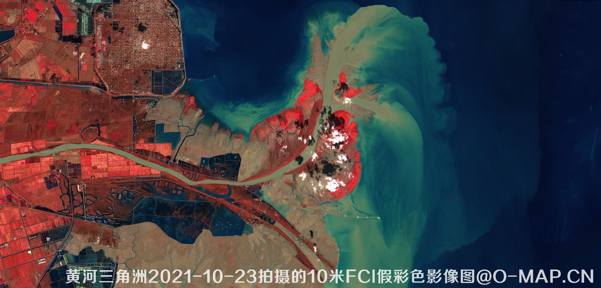 黄河三角洲2021年各月份的10米FCI假彩色影像图