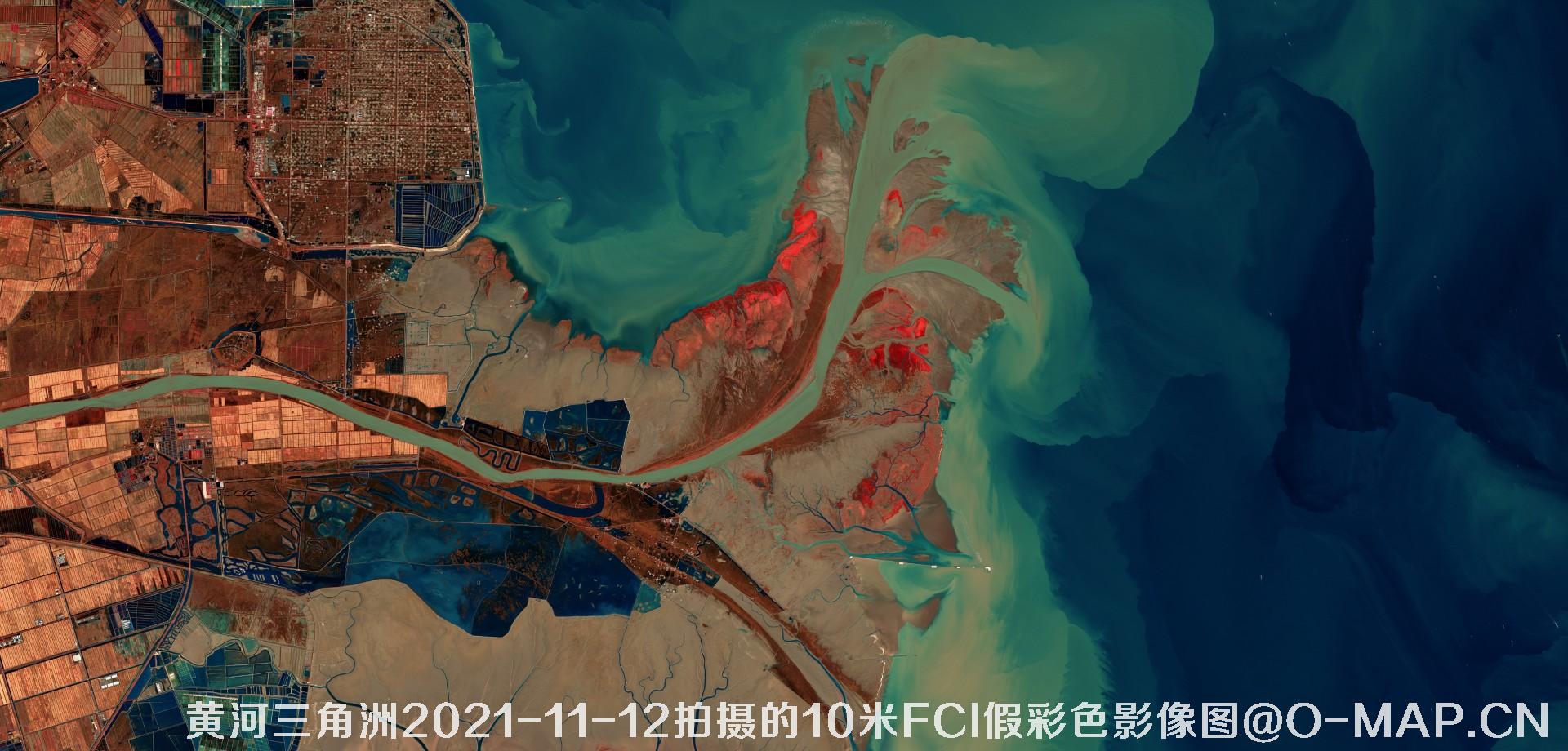 黄河三角洲2021年各月份的10米FCI假彩色影像图