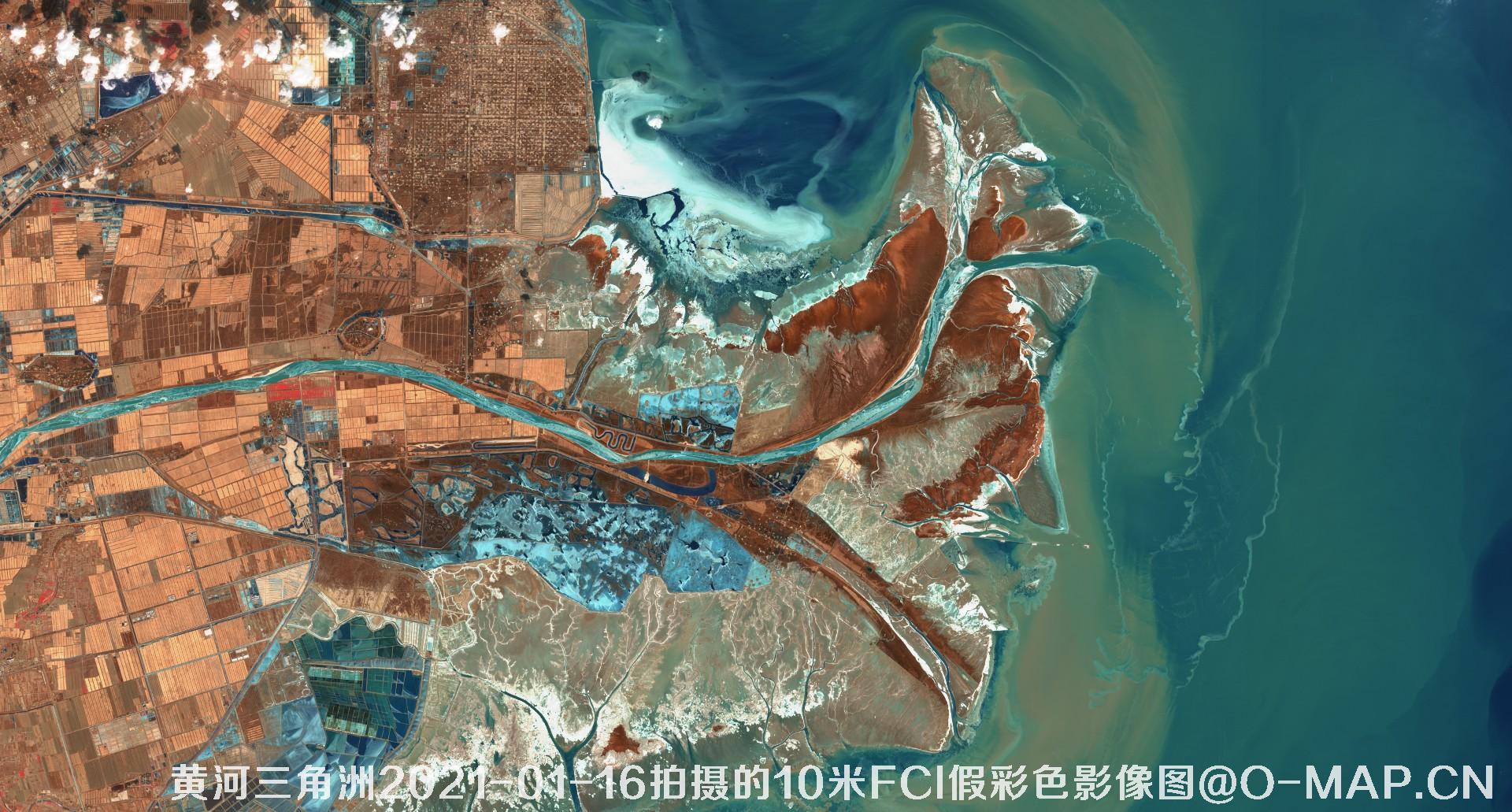 黄河三角洲2021年各月份的10米FCI假彩色影像图