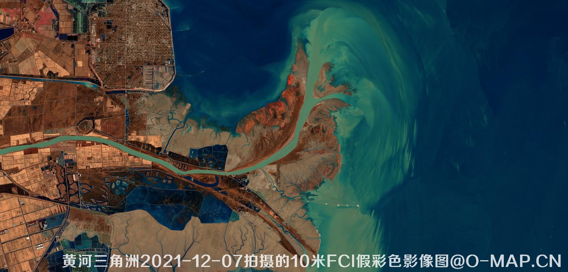 黄河三角洲2021年各月份的10米FCI假彩色影像图