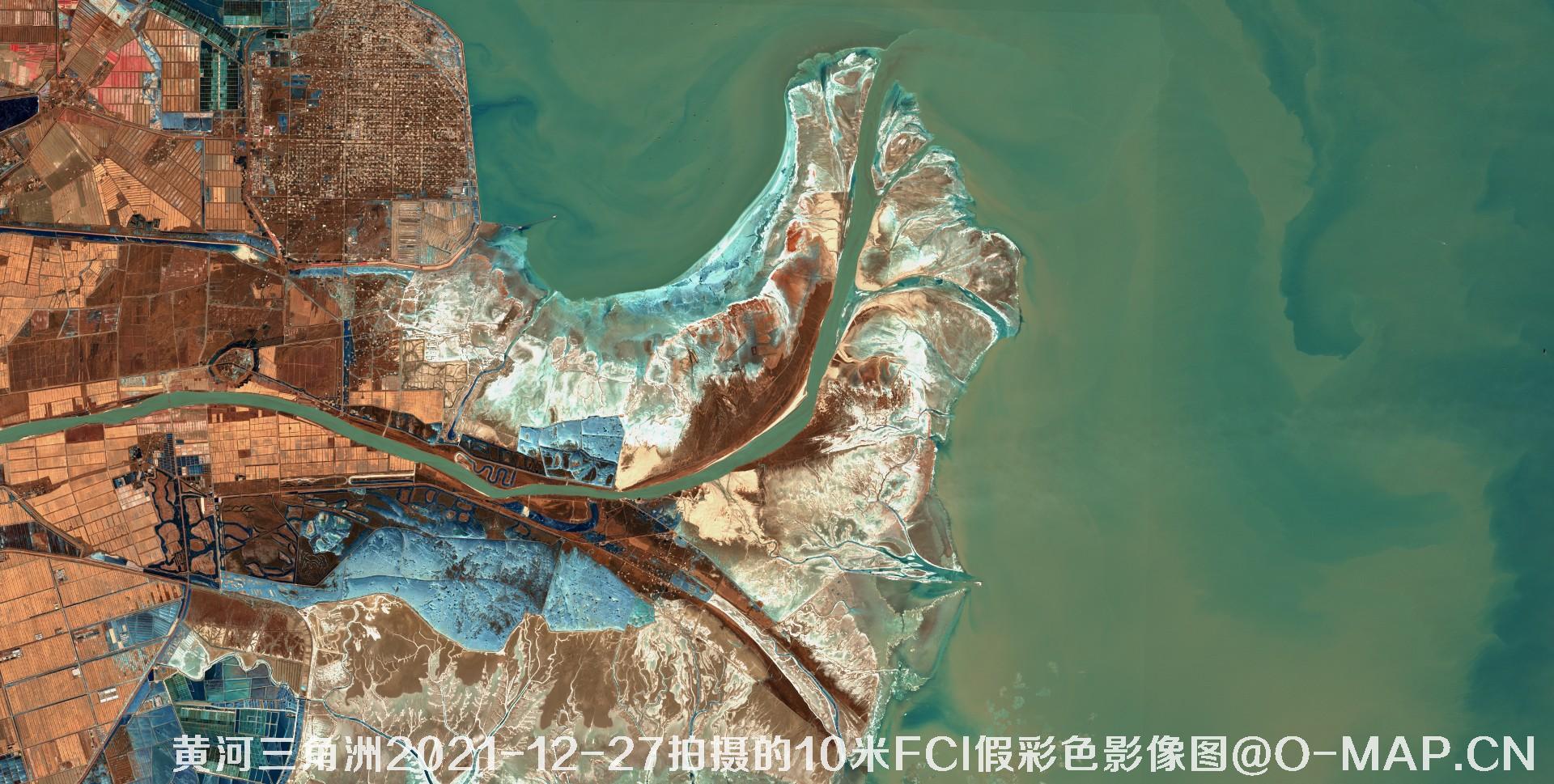 黄河三角洲2021年各月份的10米FCI假彩色影像图