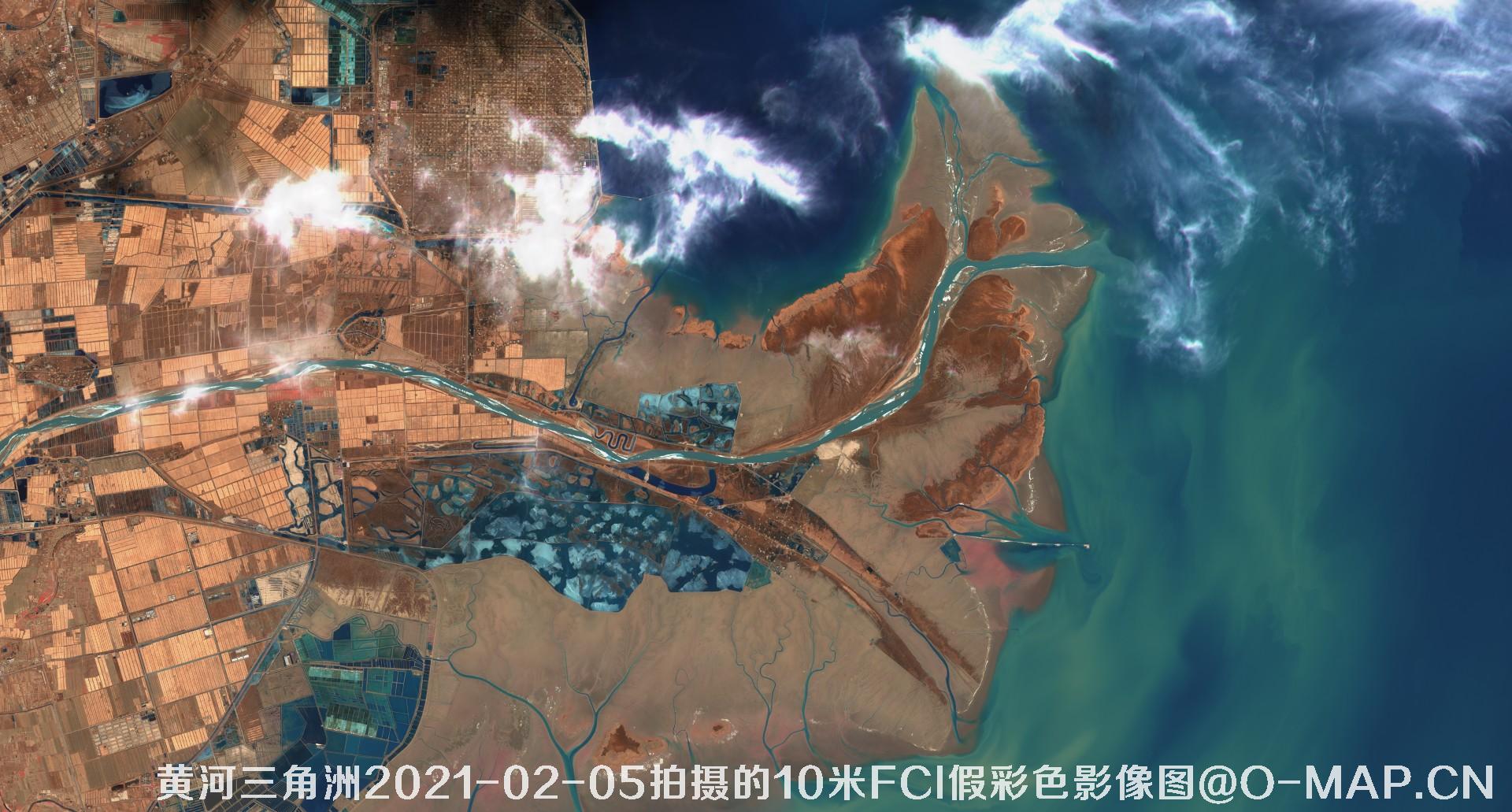 黄河三角洲2021年各月份的10米FCI假彩色影像图