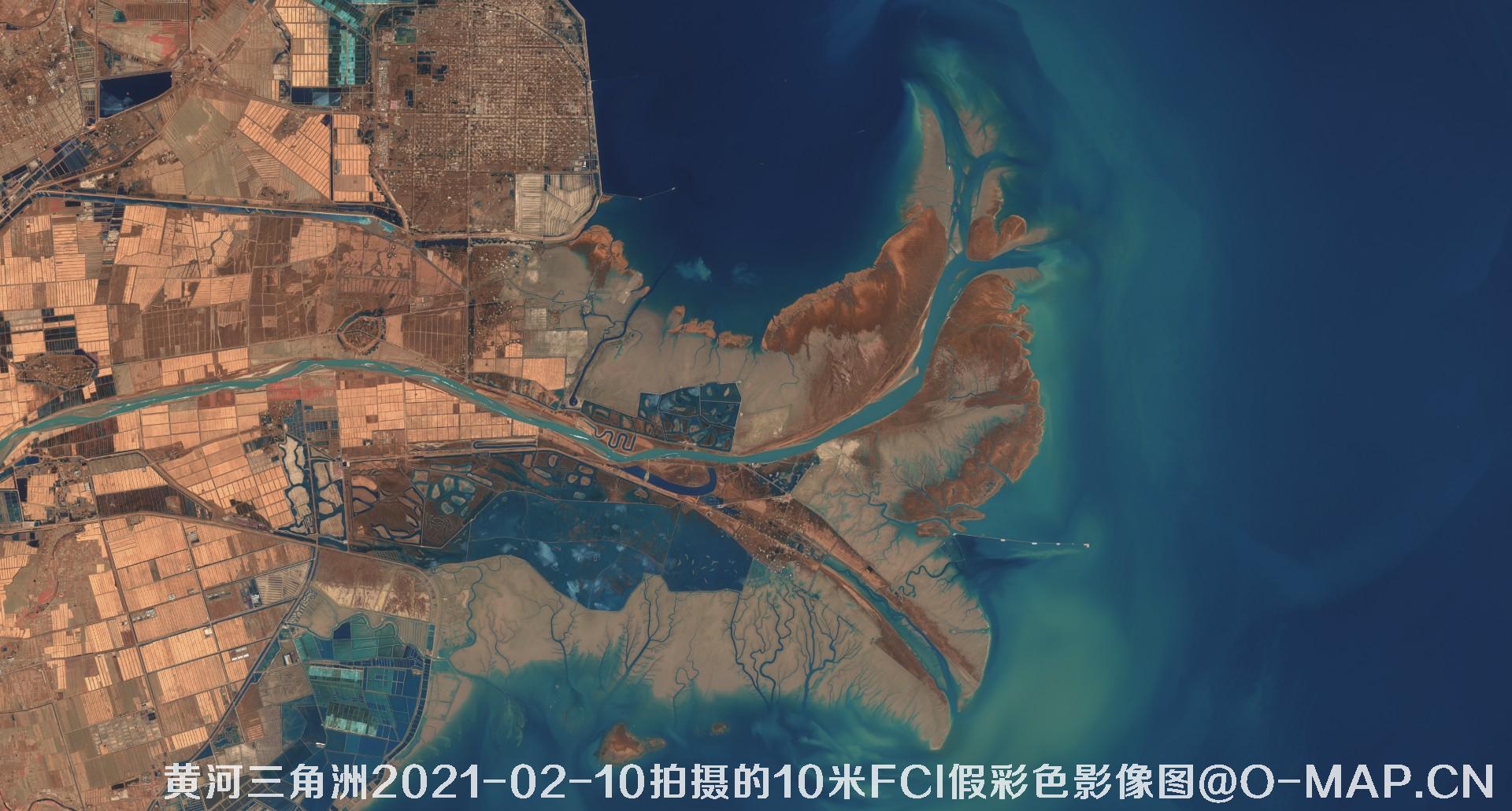 黄河三角洲2021年各月份的10米FCI假彩色影像图