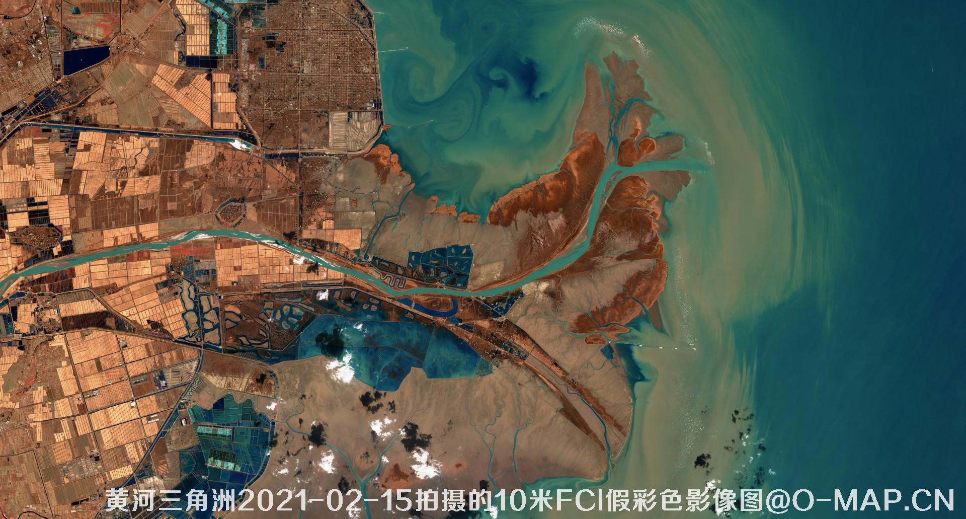 黄河三角洲2021年各月份的10米FCI假彩色影像图