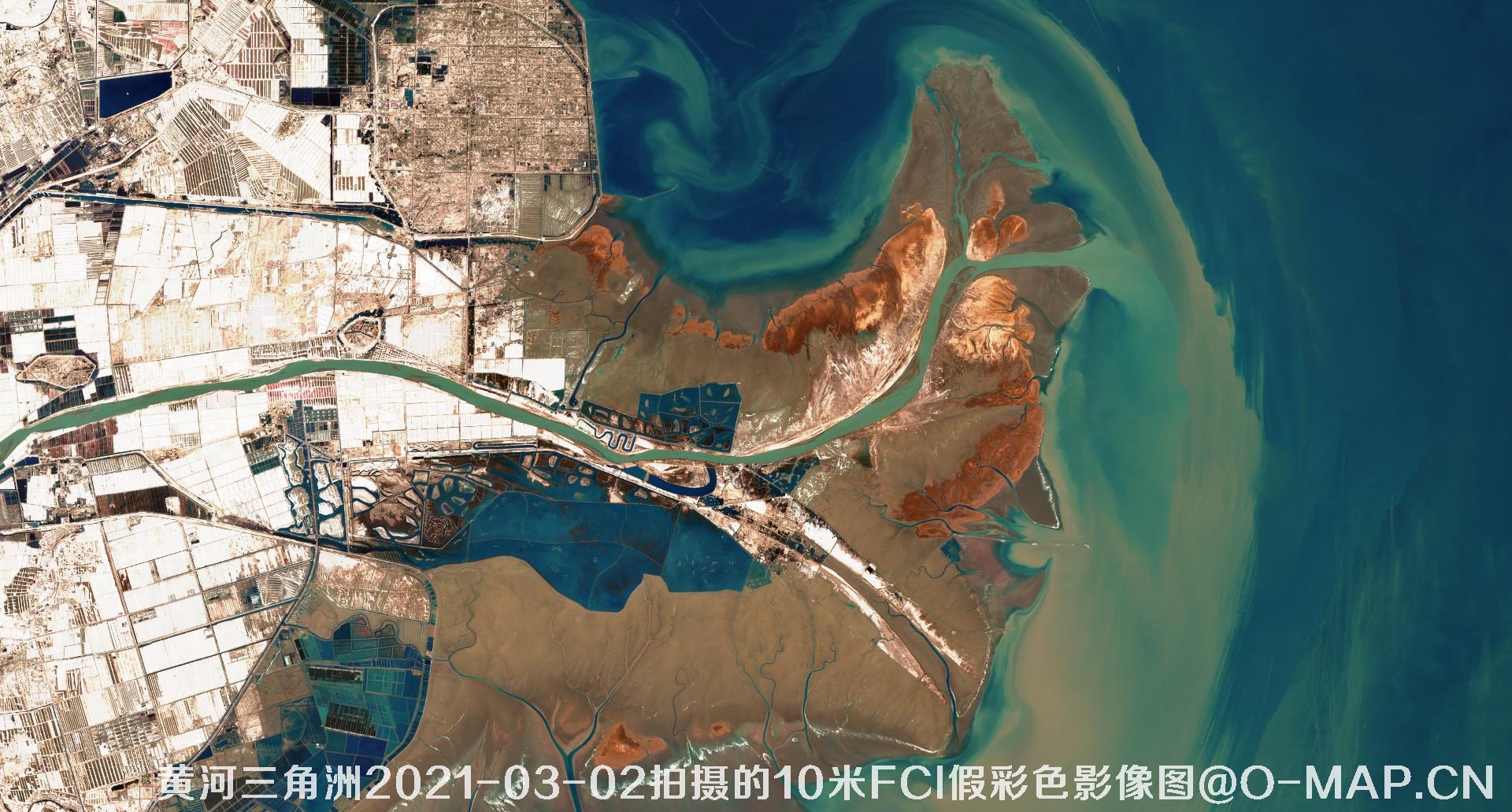 黄河三角洲2021年各月份的10米FCI假彩色影像图