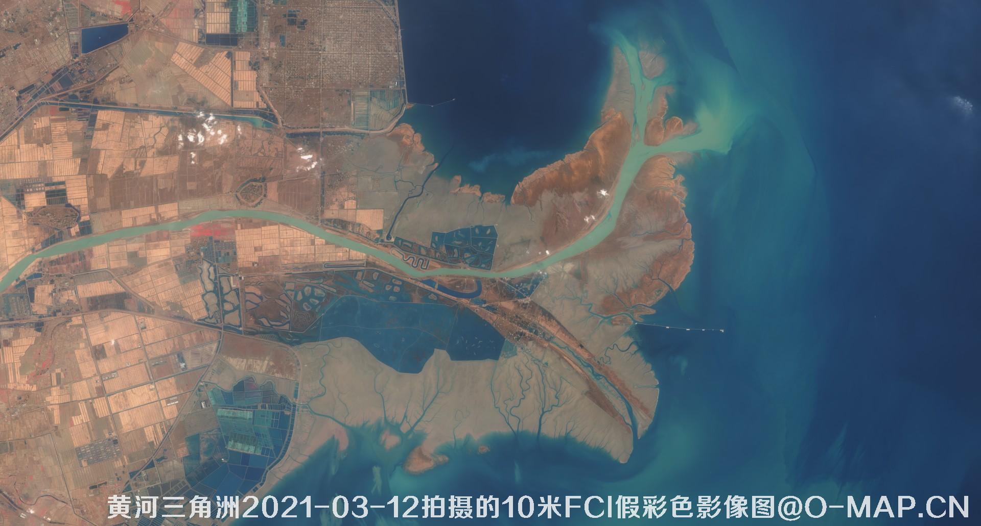 黄河三角洲2021年各月份的10米FCI假彩色影像图