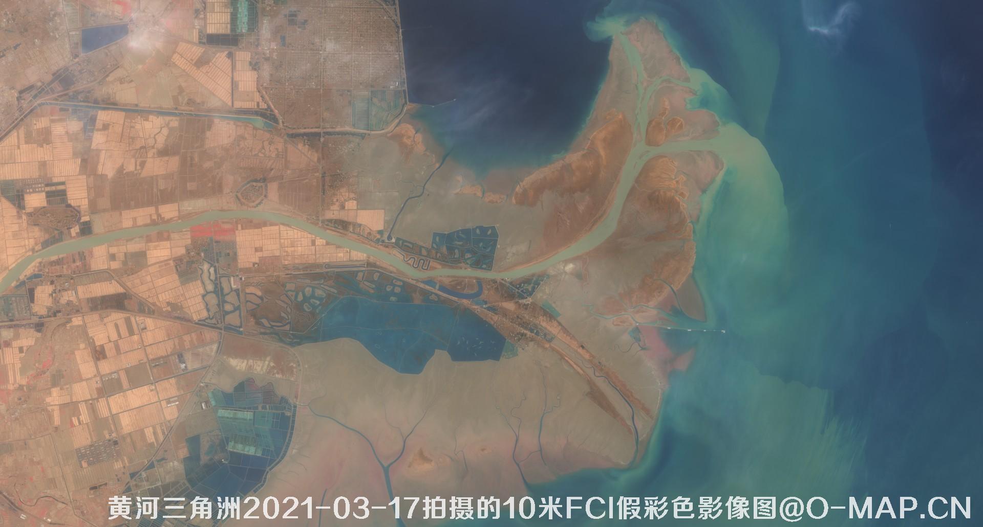黄河三角洲2021年各月份的10米FCI假彩色影像图