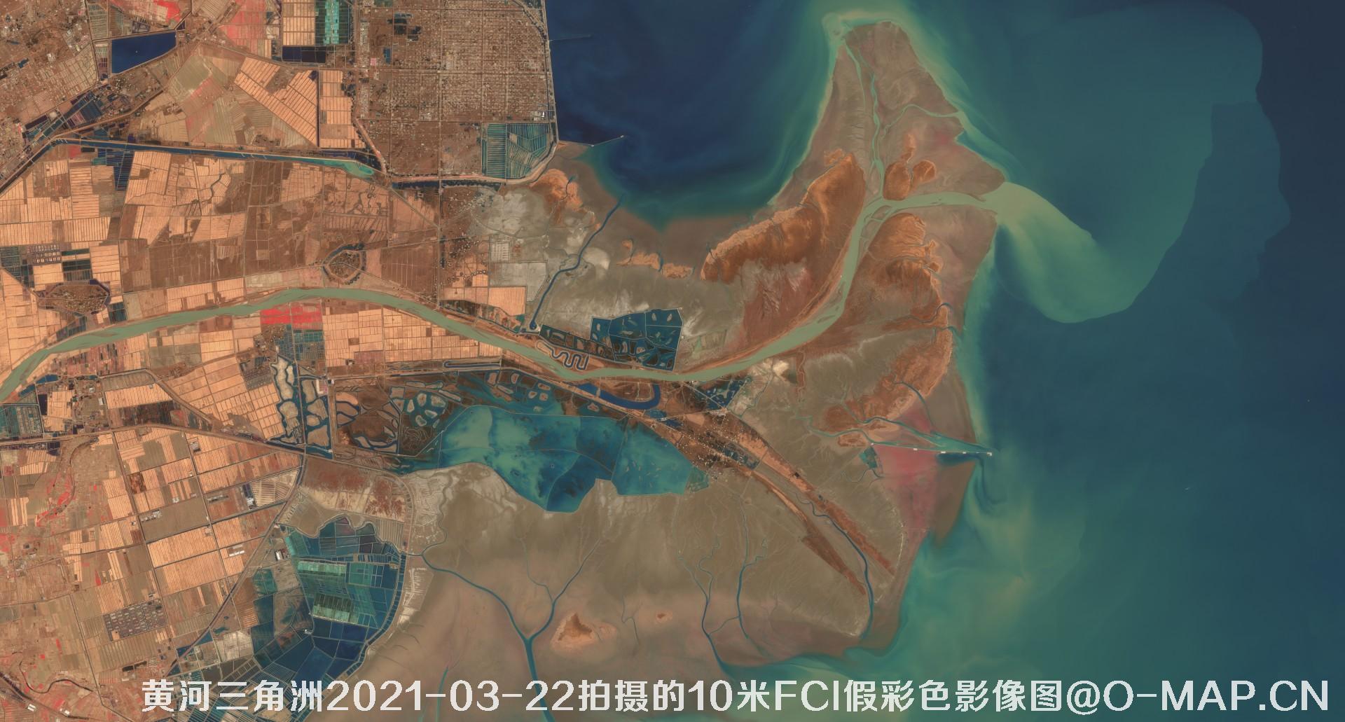 黄河三角洲2021年各月份的10米FCI假彩色影像图