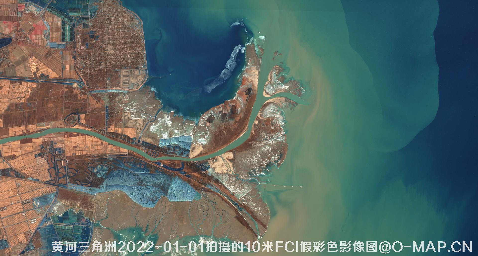 黄河三角洲2022年10米Sentinel哨兵卫星FCI假彩色影像图