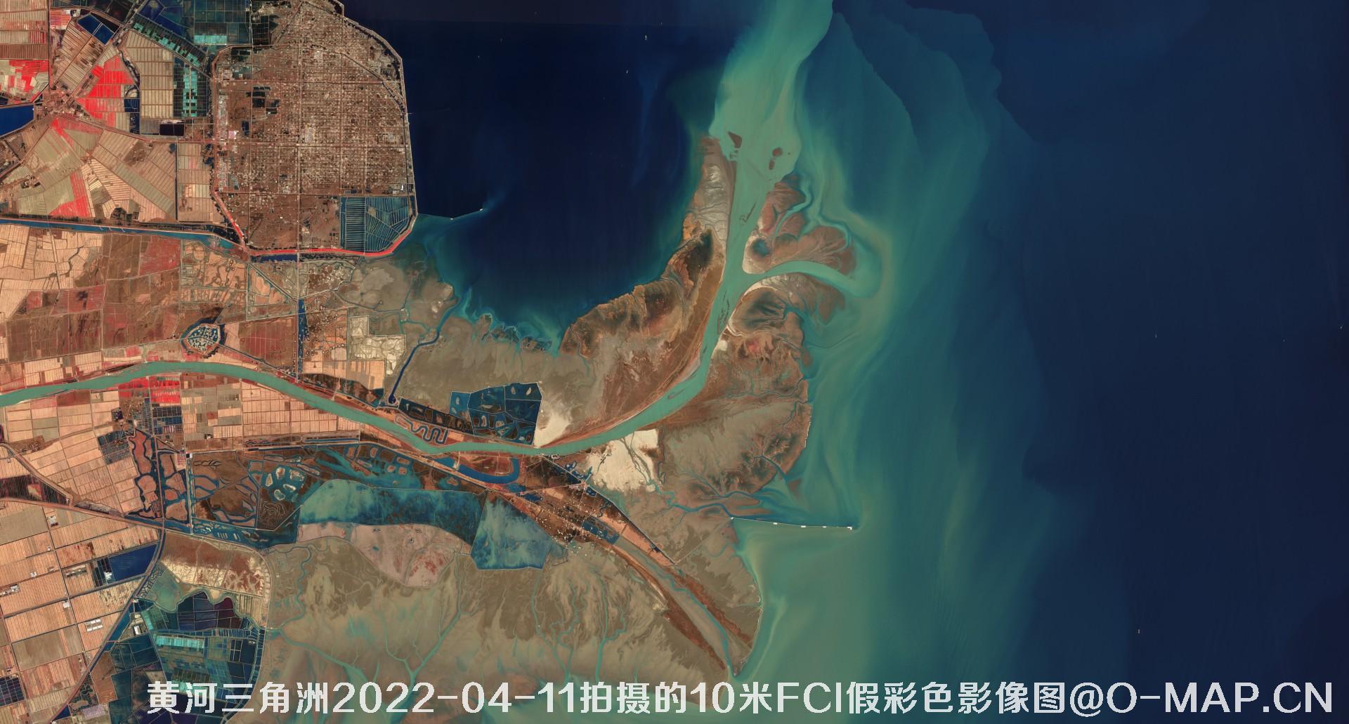 黄河三角洲2022年10米Sentinel哨兵卫星FCI假彩色影像图