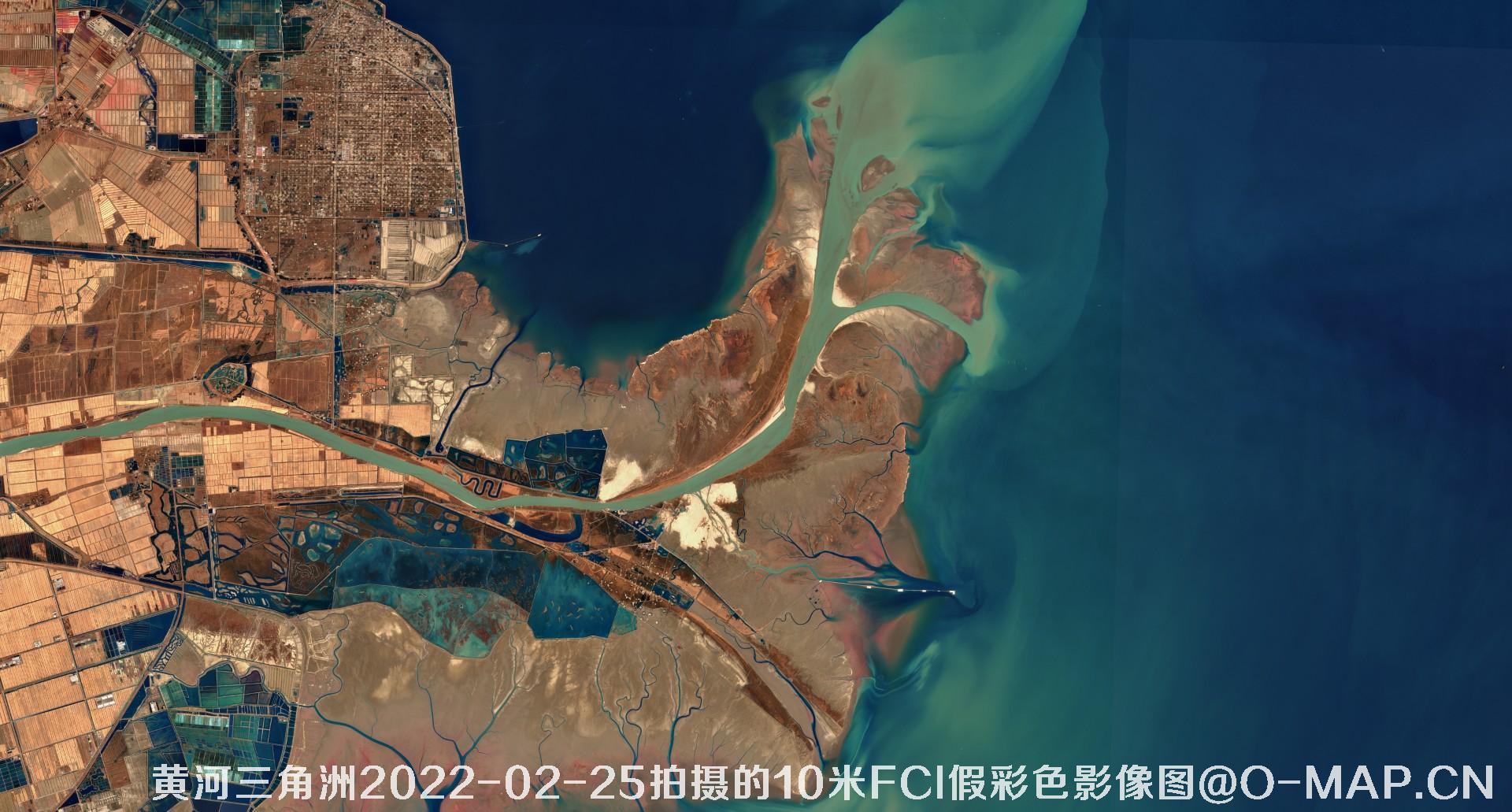 黄河三角洲2022年10米Sentinel哨兵卫星FCI假彩色影像图