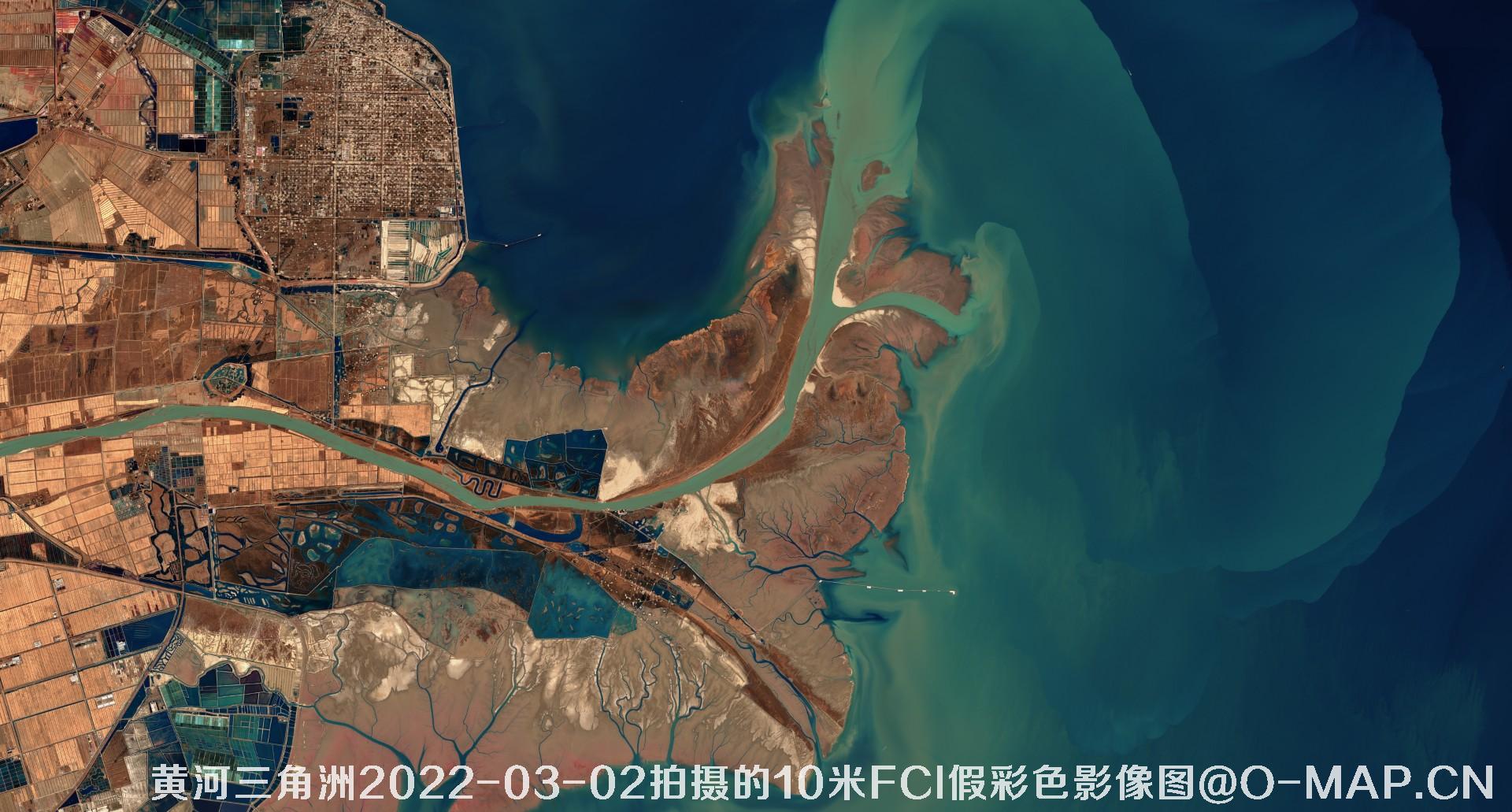 黄河三角洲2022年10米Sentinel哨兵卫星FCI假彩色影像图