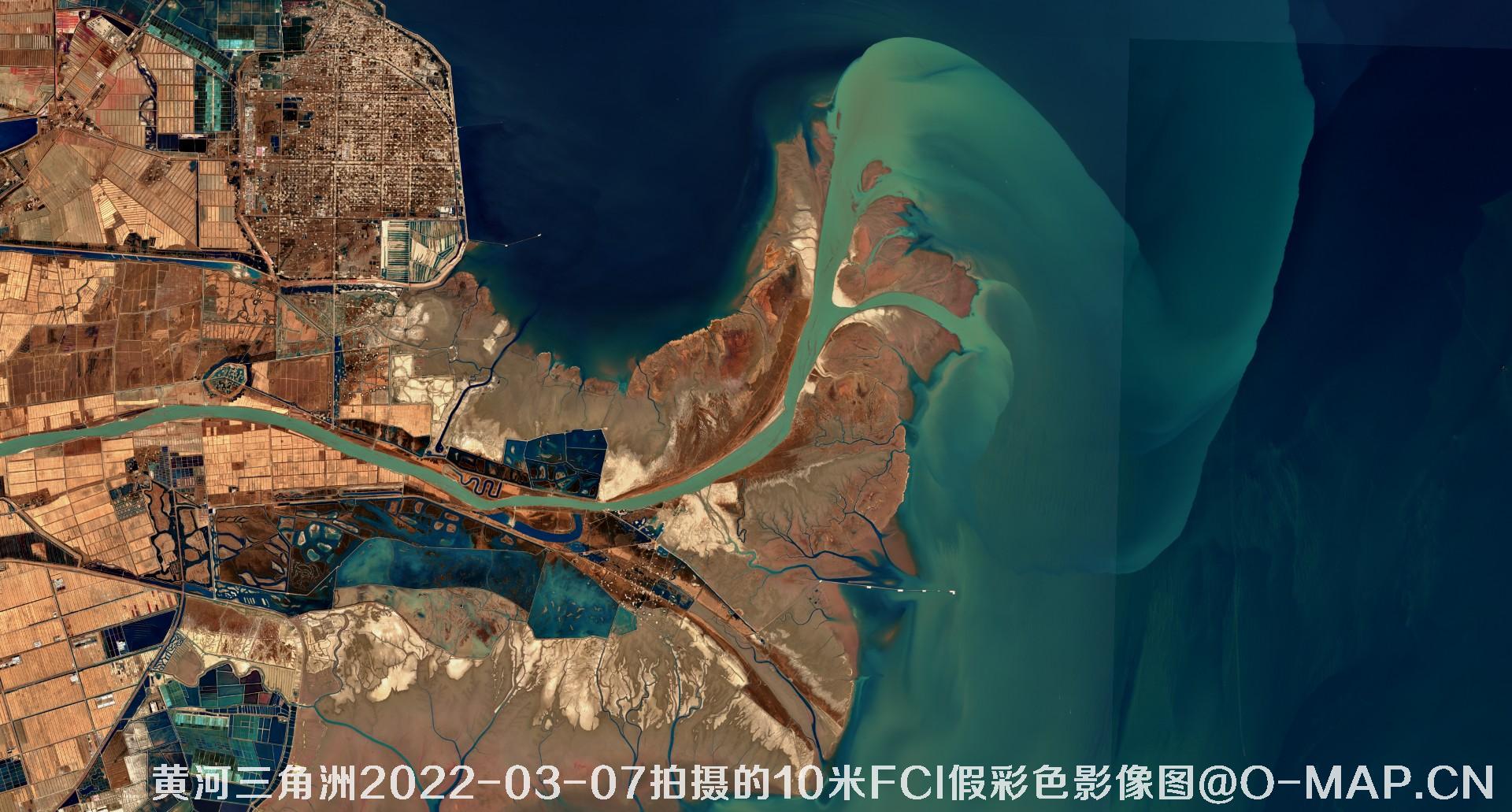 黄河三角洲2022年10米Sentinel哨兵卫星FCI假彩色影像图
