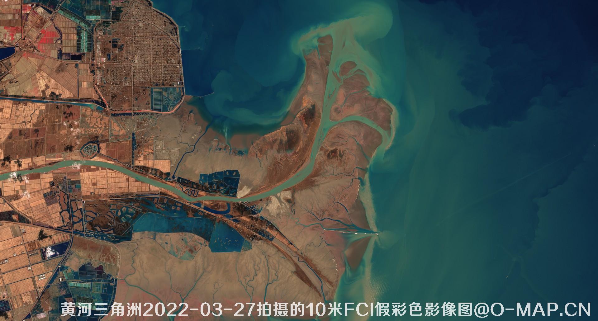 黄河三角洲2022年10米Sentinel哨兵卫星FCI假彩色影像图