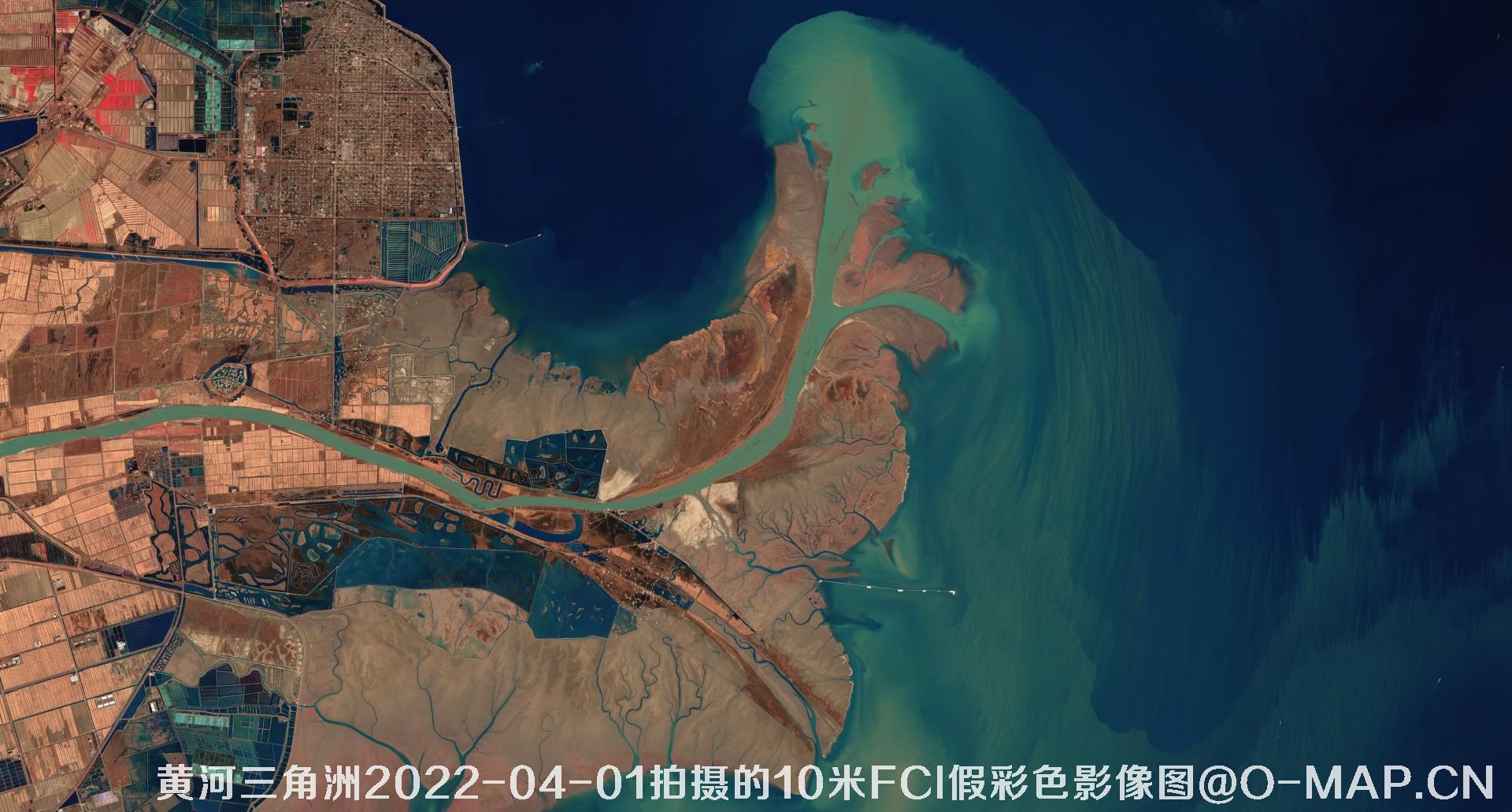 黄河三角洲2022年10米Sentinel哨兵卫星FCI假彩色影像图