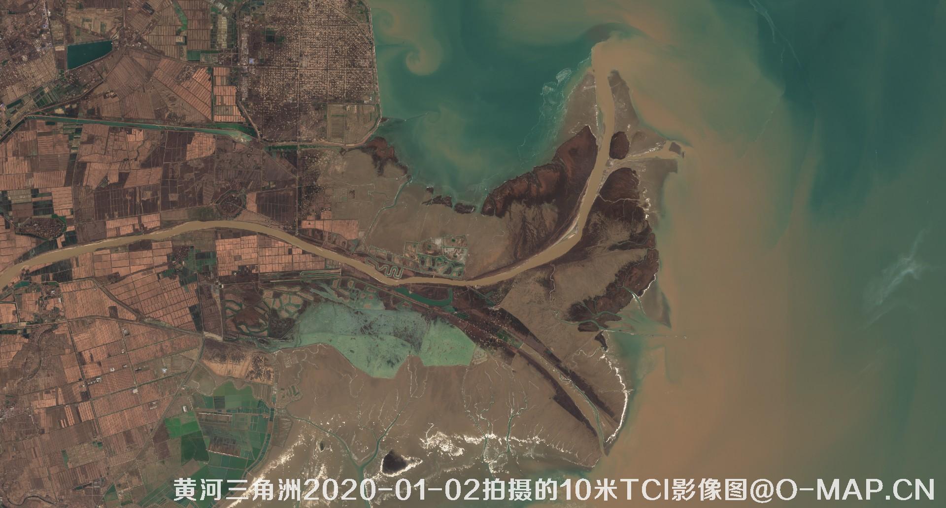 黄河三角洲2020年各个月份10米TCI真彩色影像图片