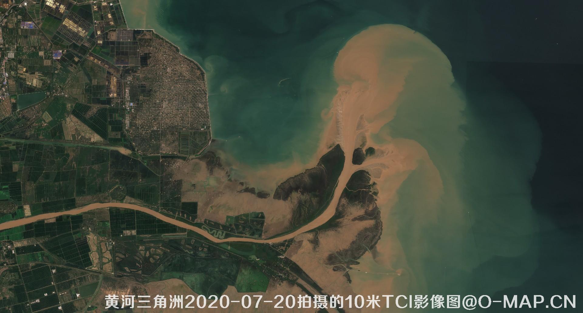 黄河三角洲2020年各个月份10米TCI真彩色影像图片