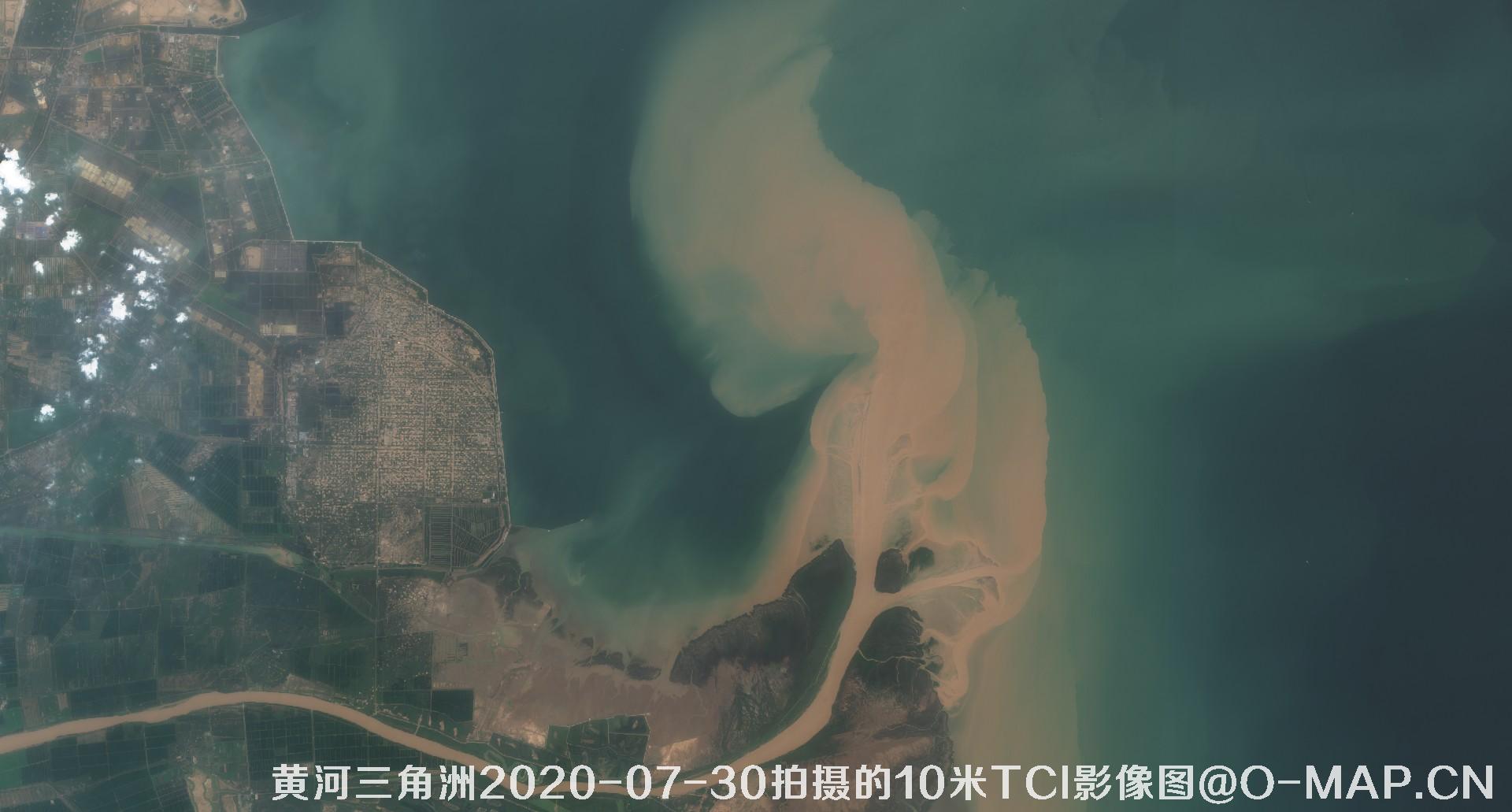黄河三角洲2020年各个月份10米TCI真彩色影像图片