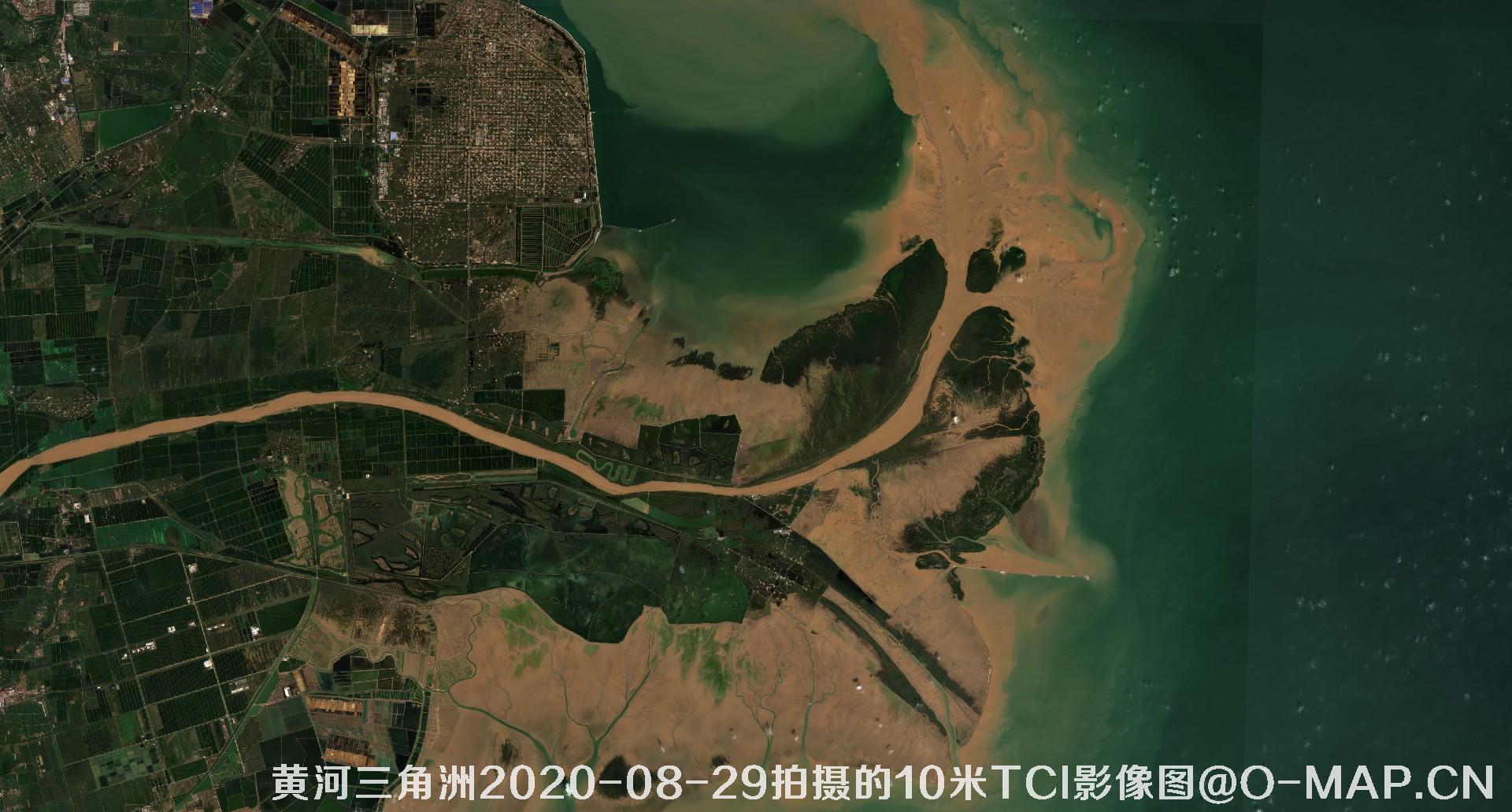 黄河三角洲2020年各个月份10米TCI真彩色影像图片