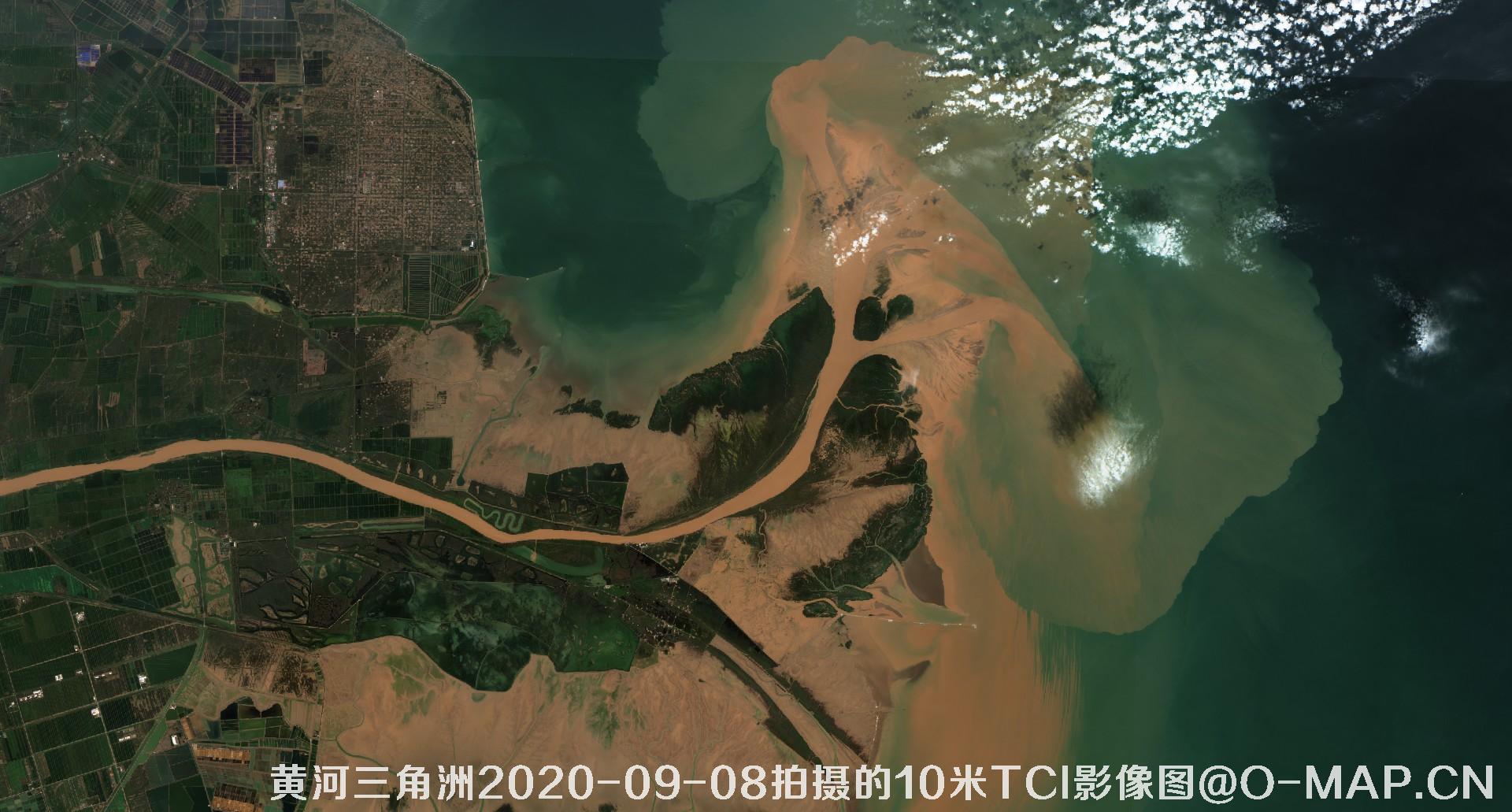 黄河三角洲2020年各个月份10米TCI真彩色影像图片
