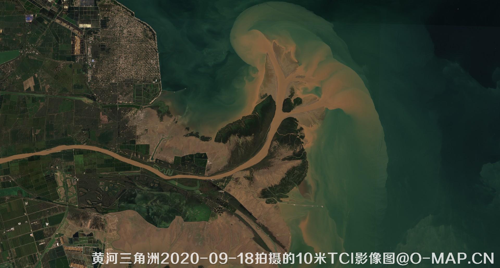 黄河三角洲2020年各个月份10米TCI真彩色影像图片