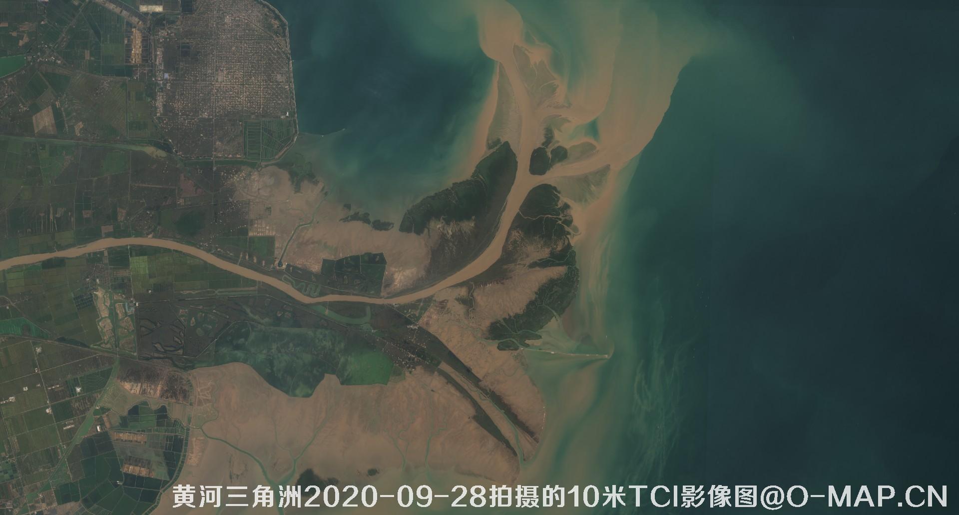 黄河三角洲2020年各个月份10米TCI真彩色影像图片