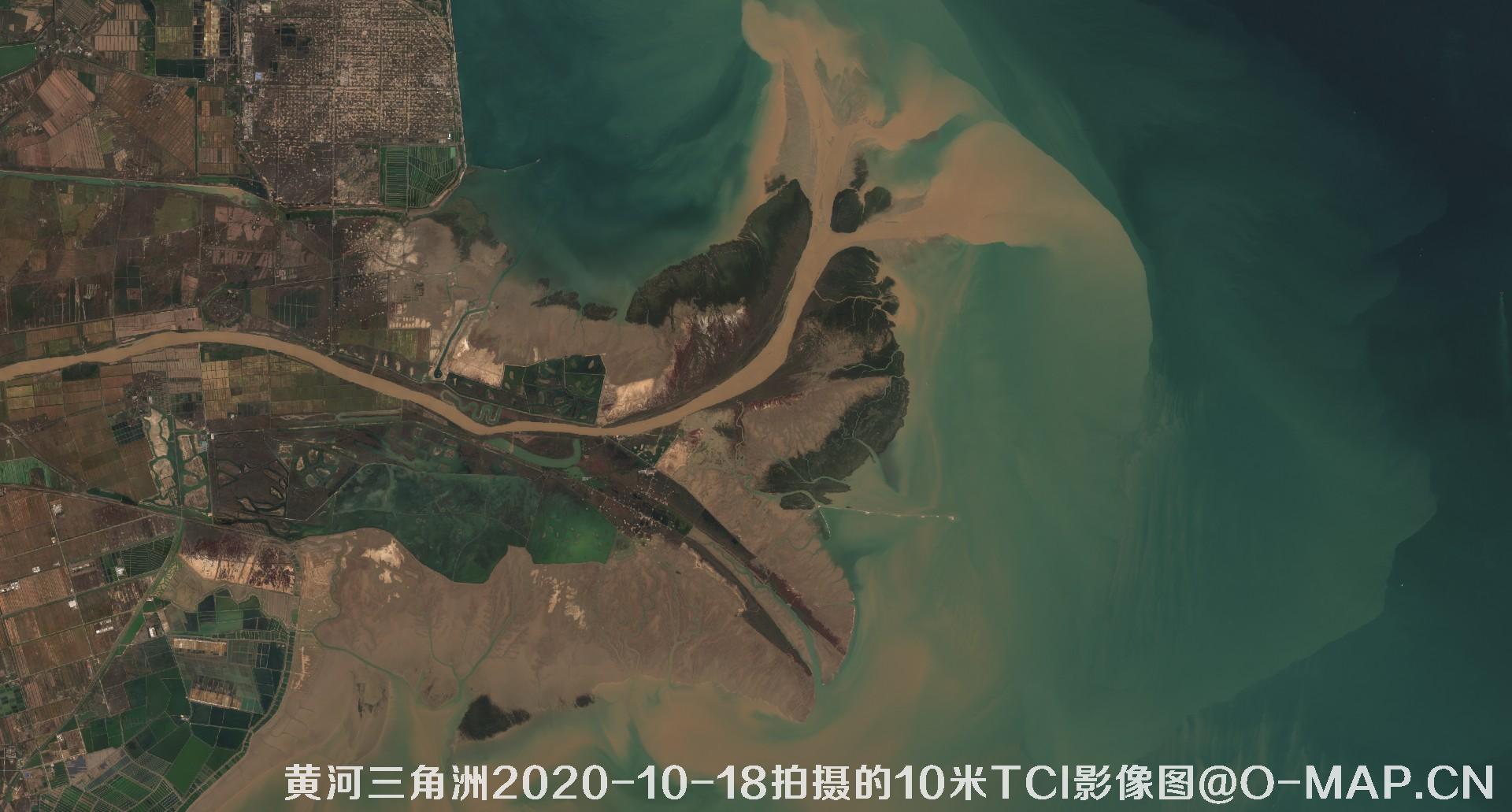 黄河三角洲2020年各个月份10米TCI真彩色影像图片