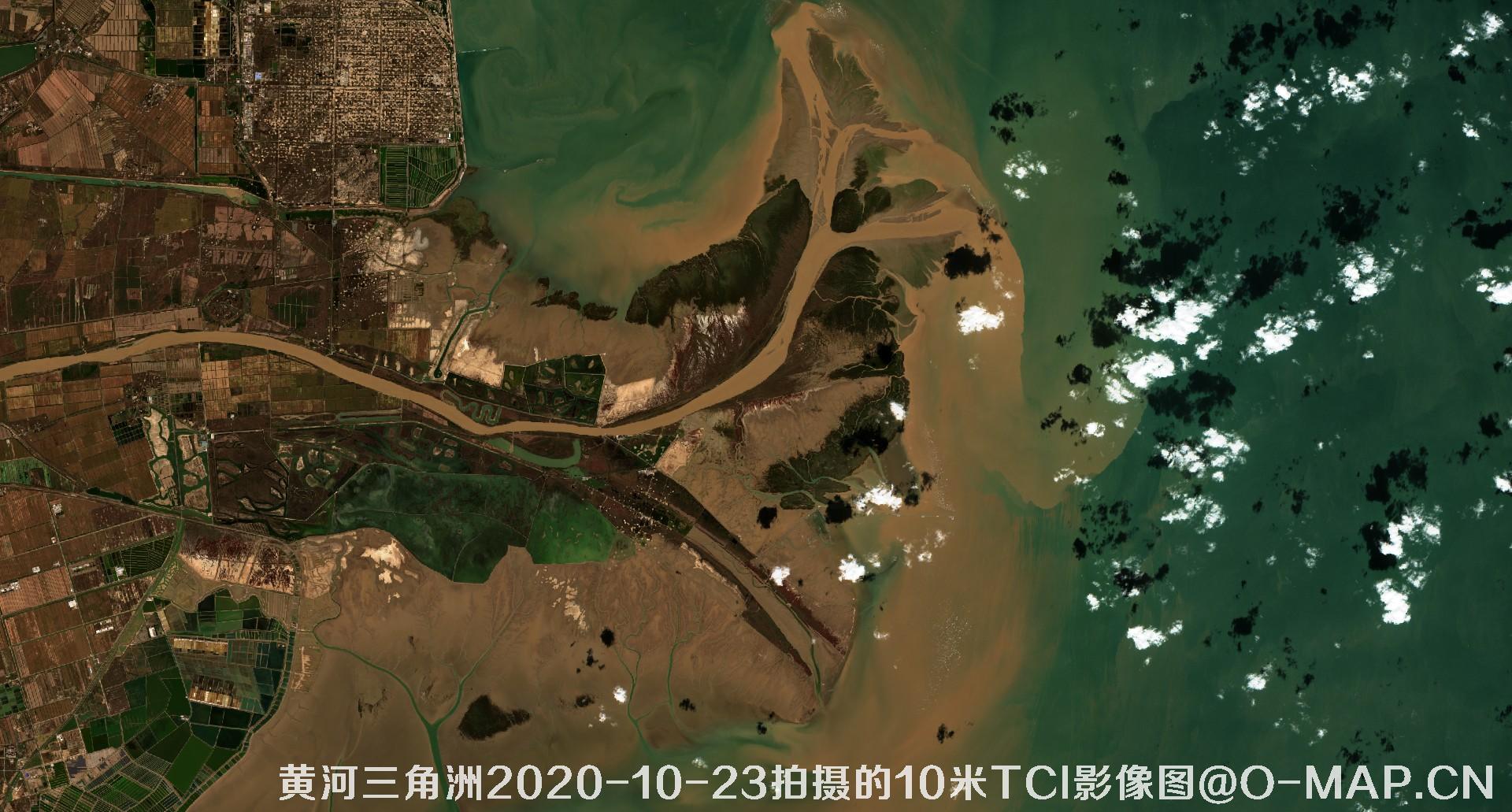 黄河三角洲2020年各个月份10米TCI真彩色影像图片