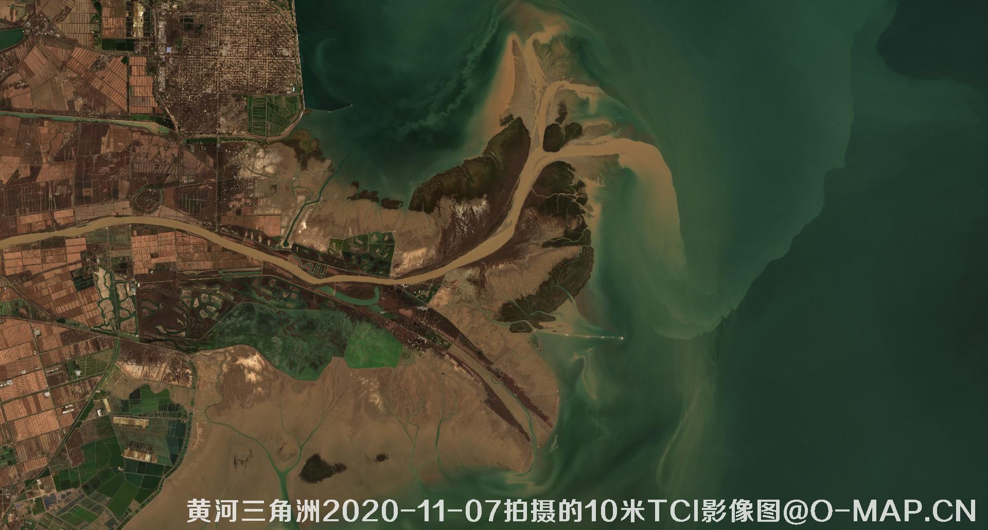 黄河三角洲2020年各个月份10米TCI真彩色影像图片