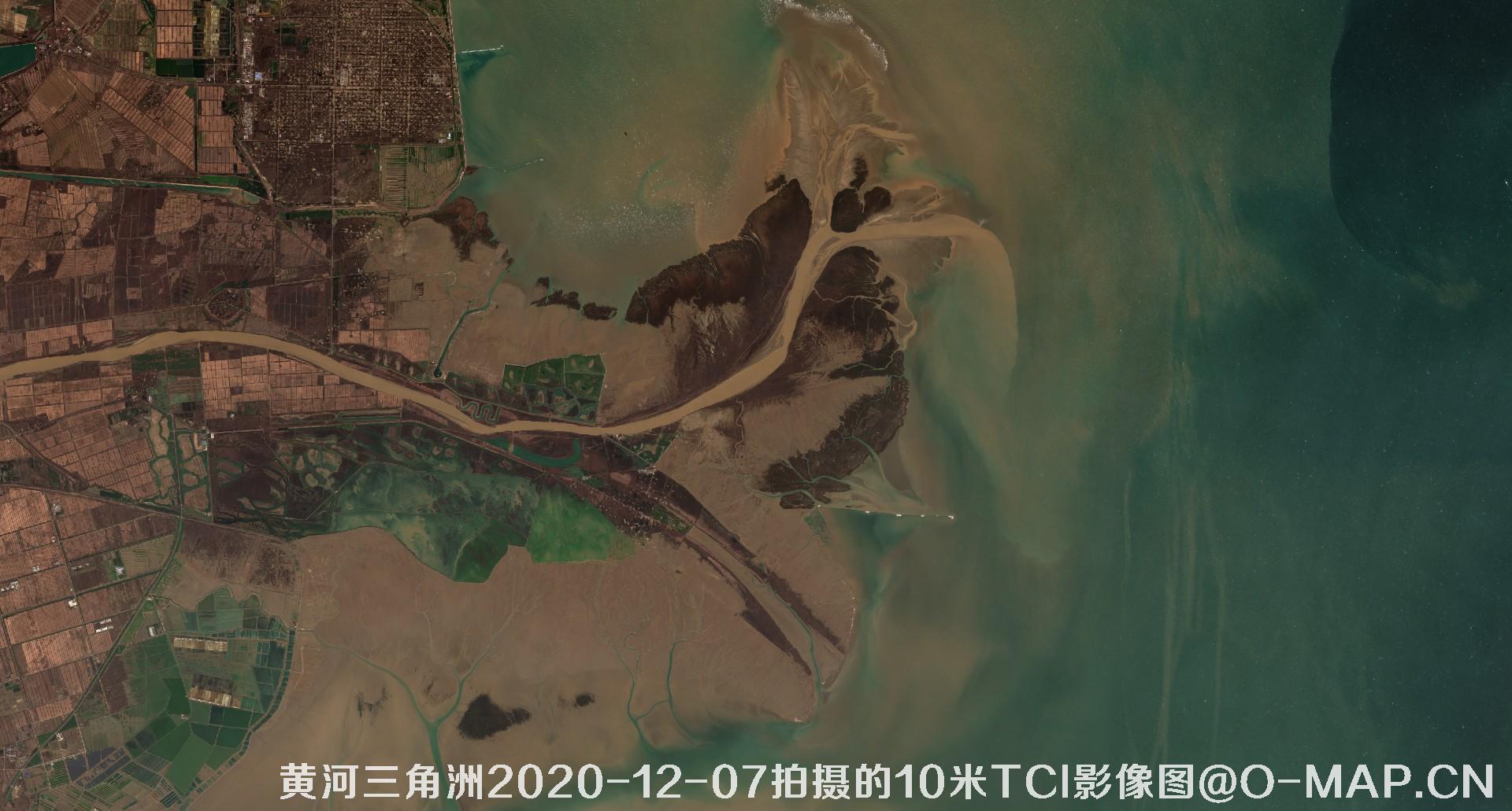黄河三角洲2020年各个月份10米TCI真彩色影像图片