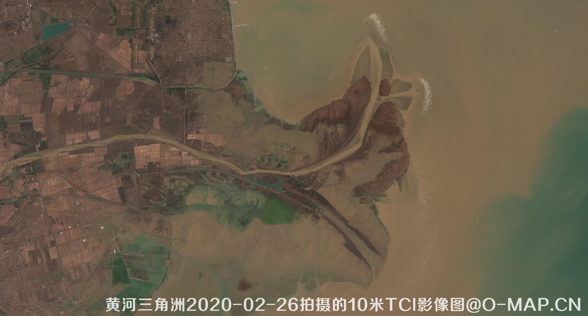 黄河三角洲2020年各个月份10米TCI真彩色影像图片